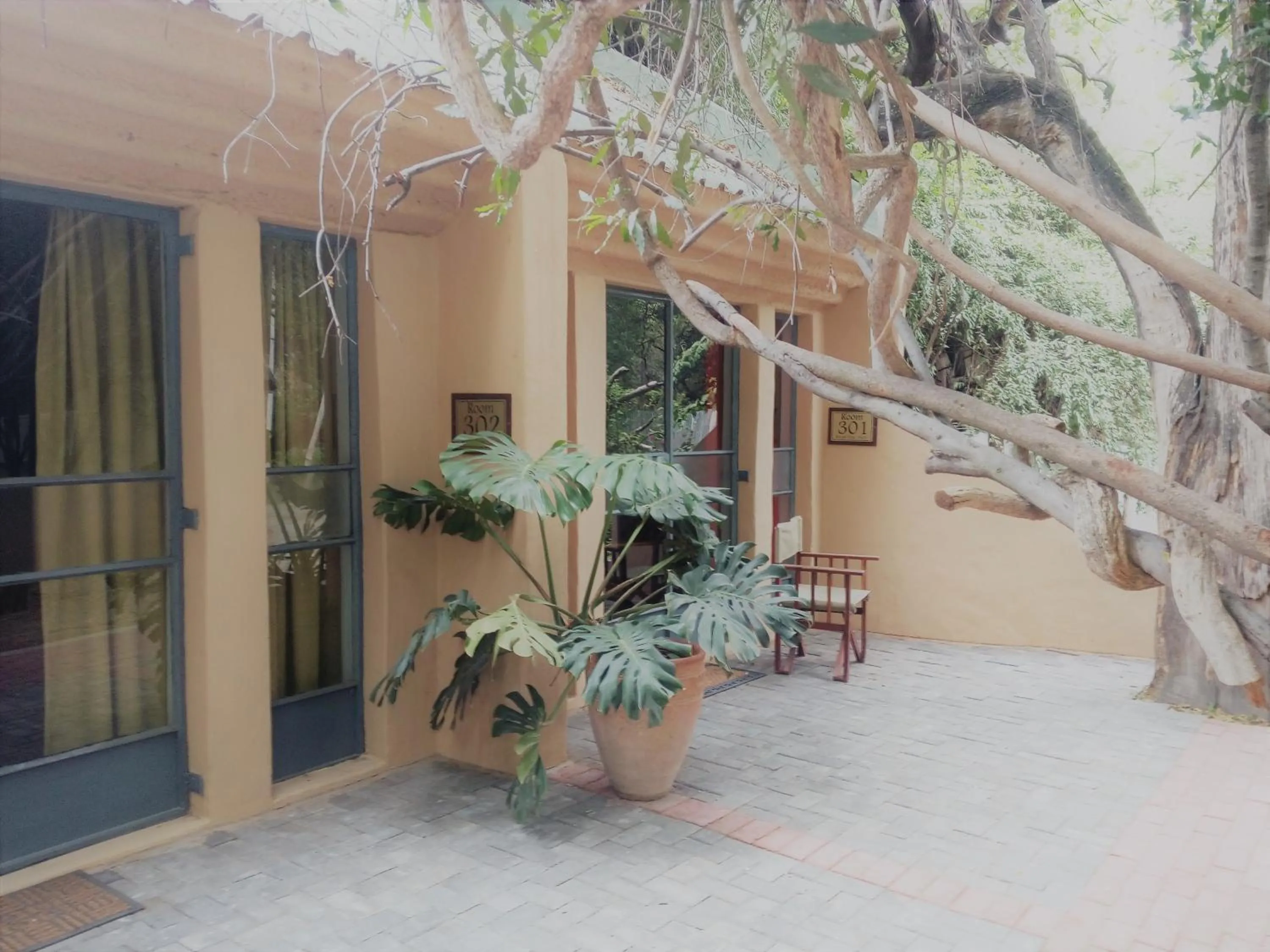 Other in Island Safari Lodge