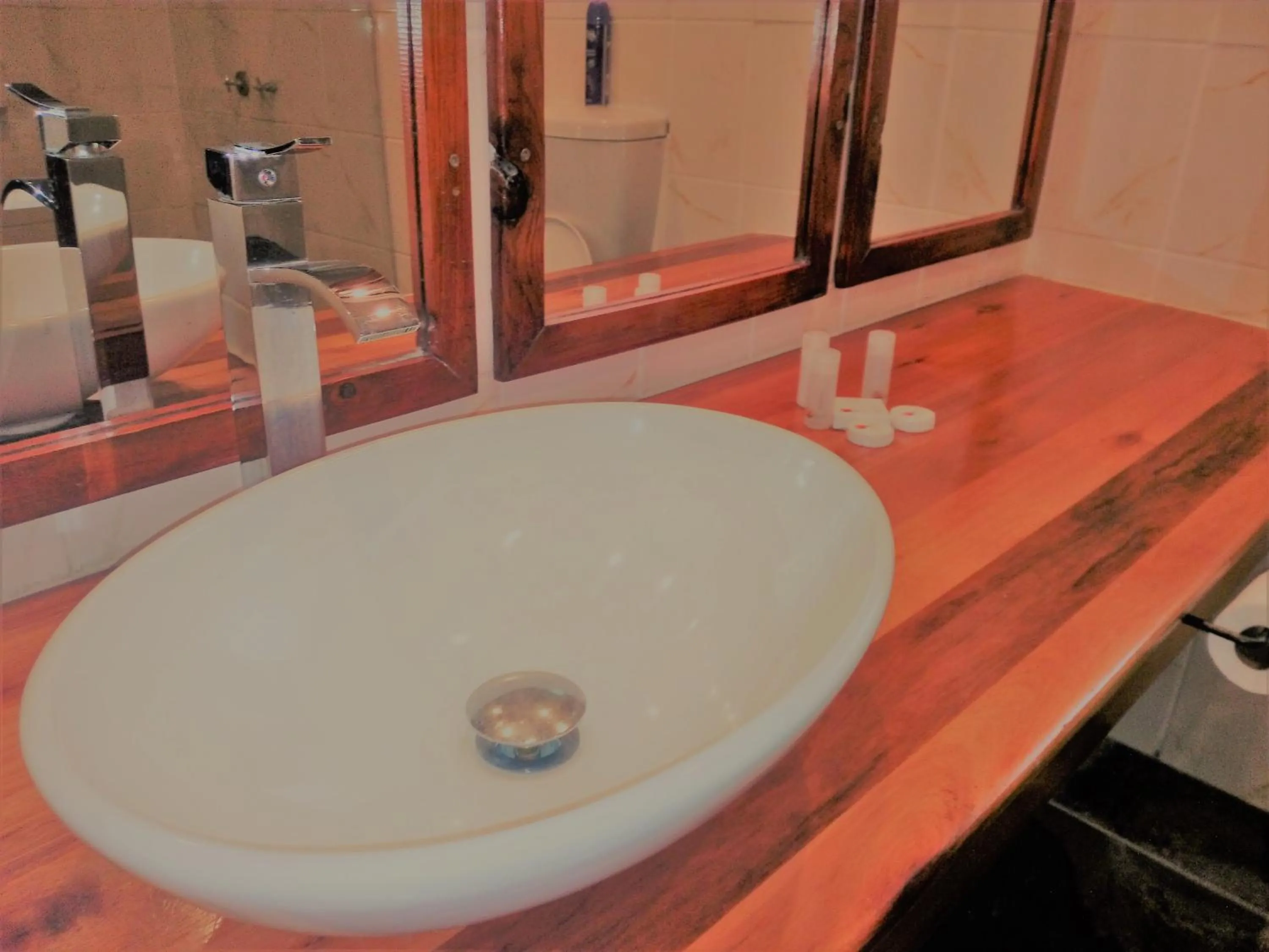 Other in Island Safari Lodge