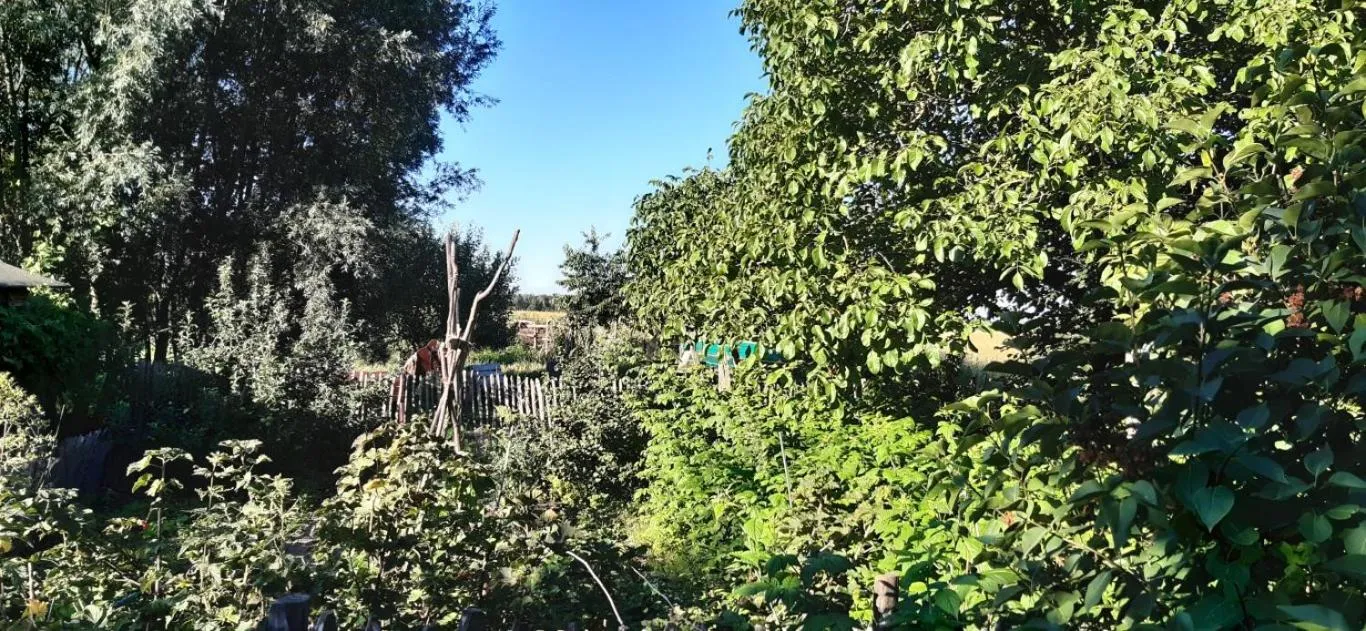 Day in Bingers kleine Scheune