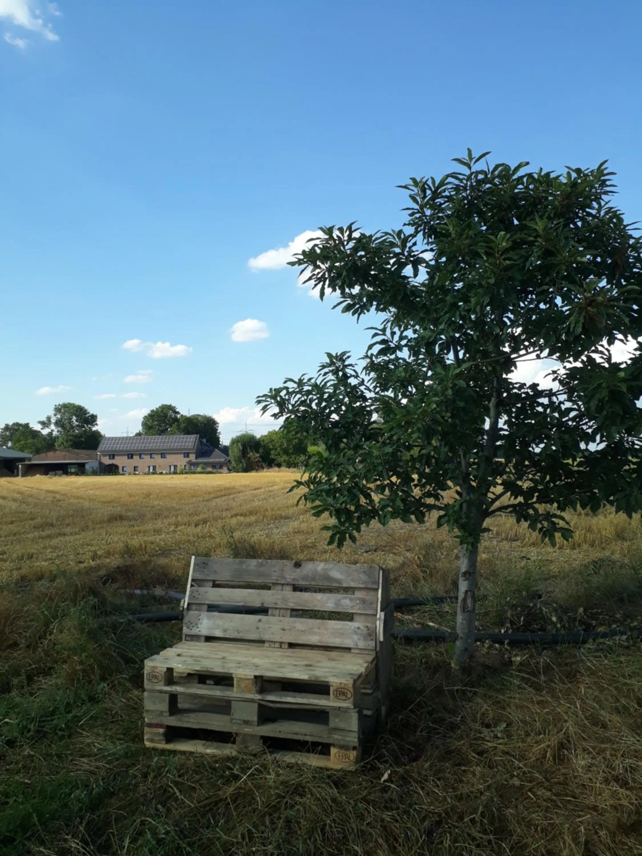 Natural landscape in Bingers kleine Scheune