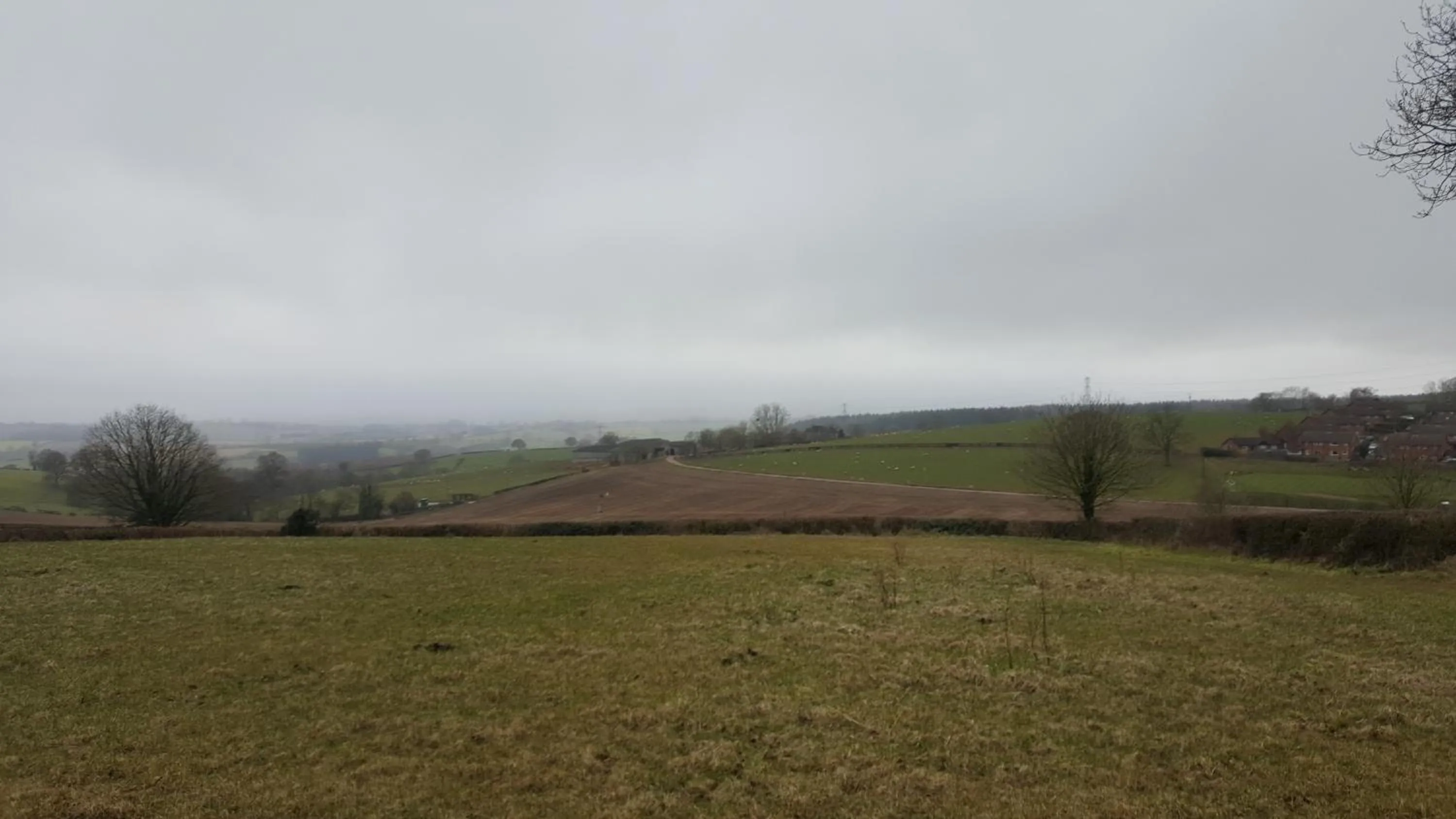 Natural landscape in The Plough Inn