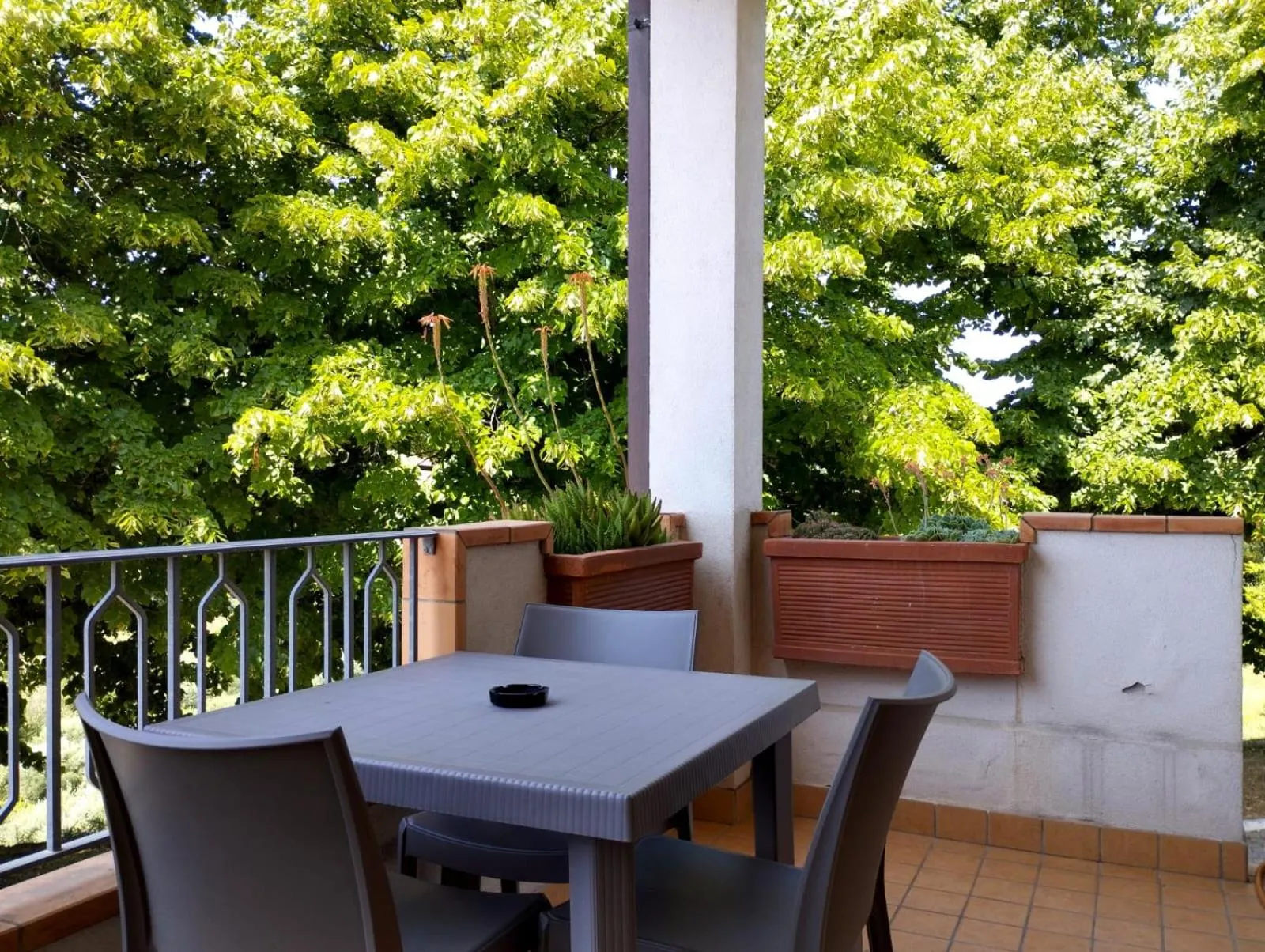 Balcony/Terrace in Il Mandorlo B&B