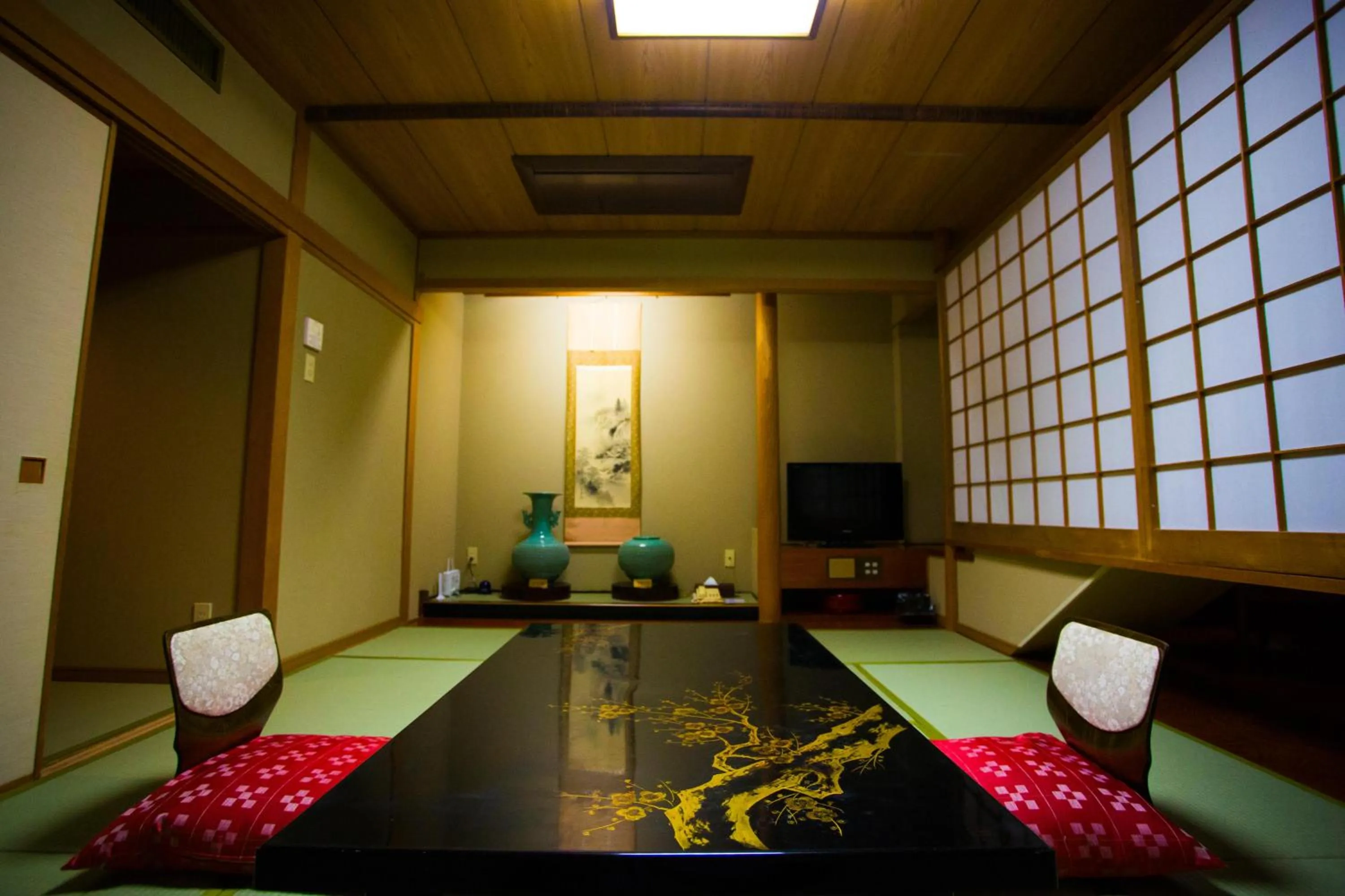 Photo of the whole room in Hotel Sekitei