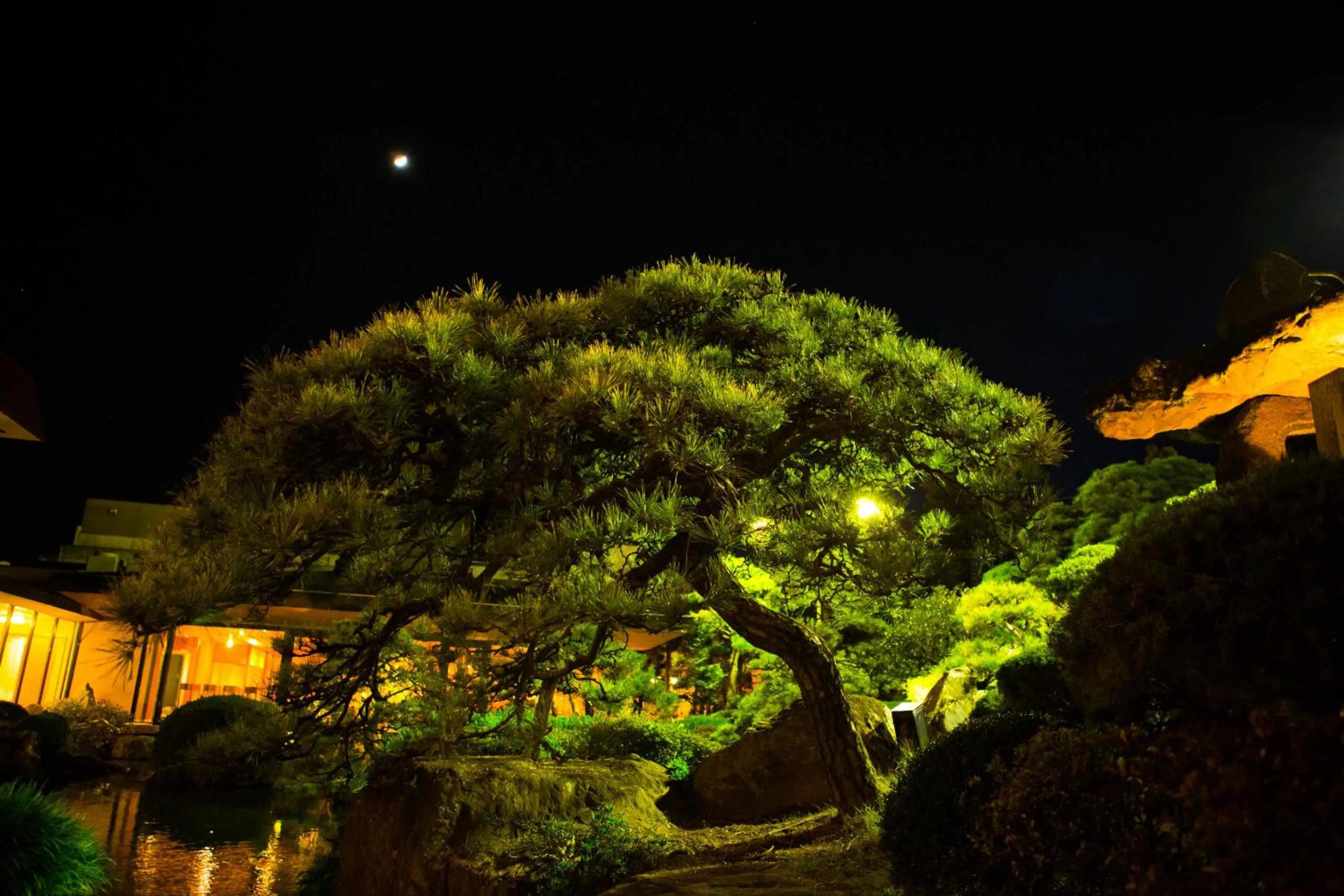 Garden in Hotel Sekitei