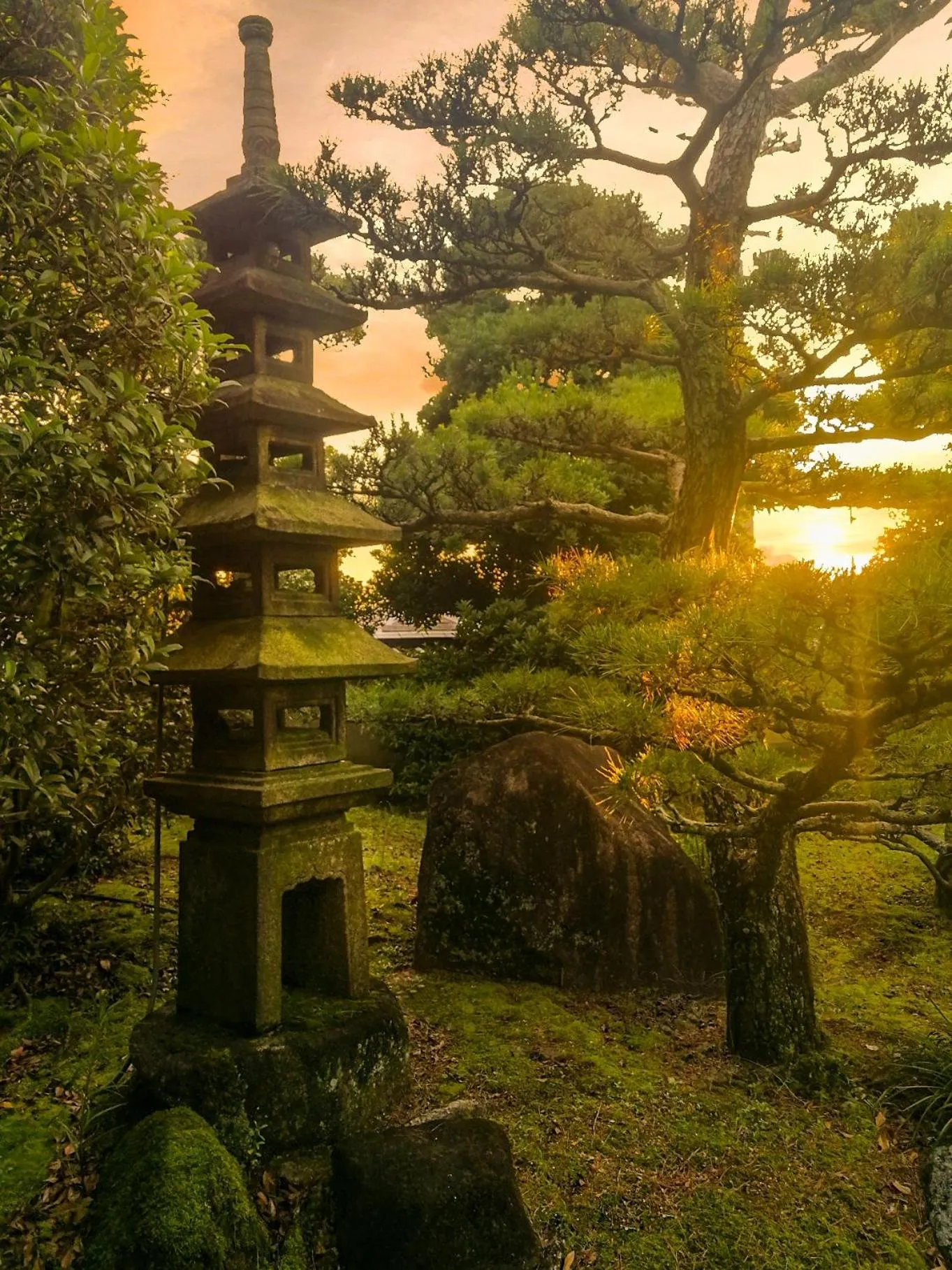 Garden view in Kansai Airport Hotel Pine Villa