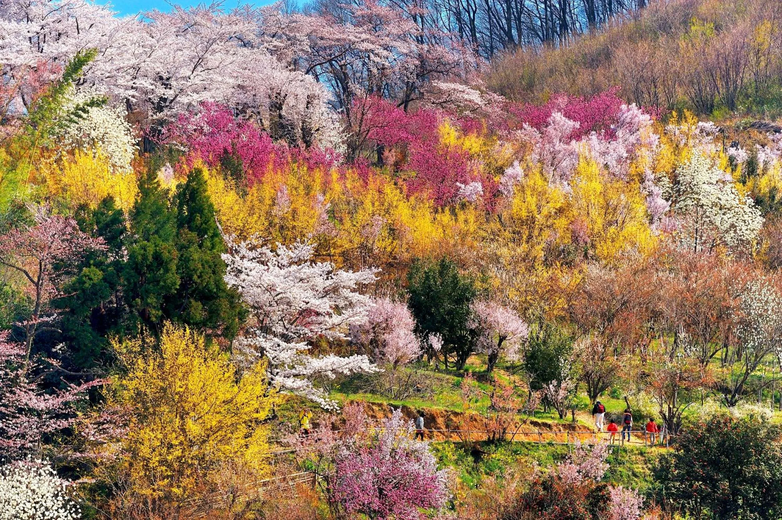 Nearby landmark in APA Hotel Fukushima Ekimae