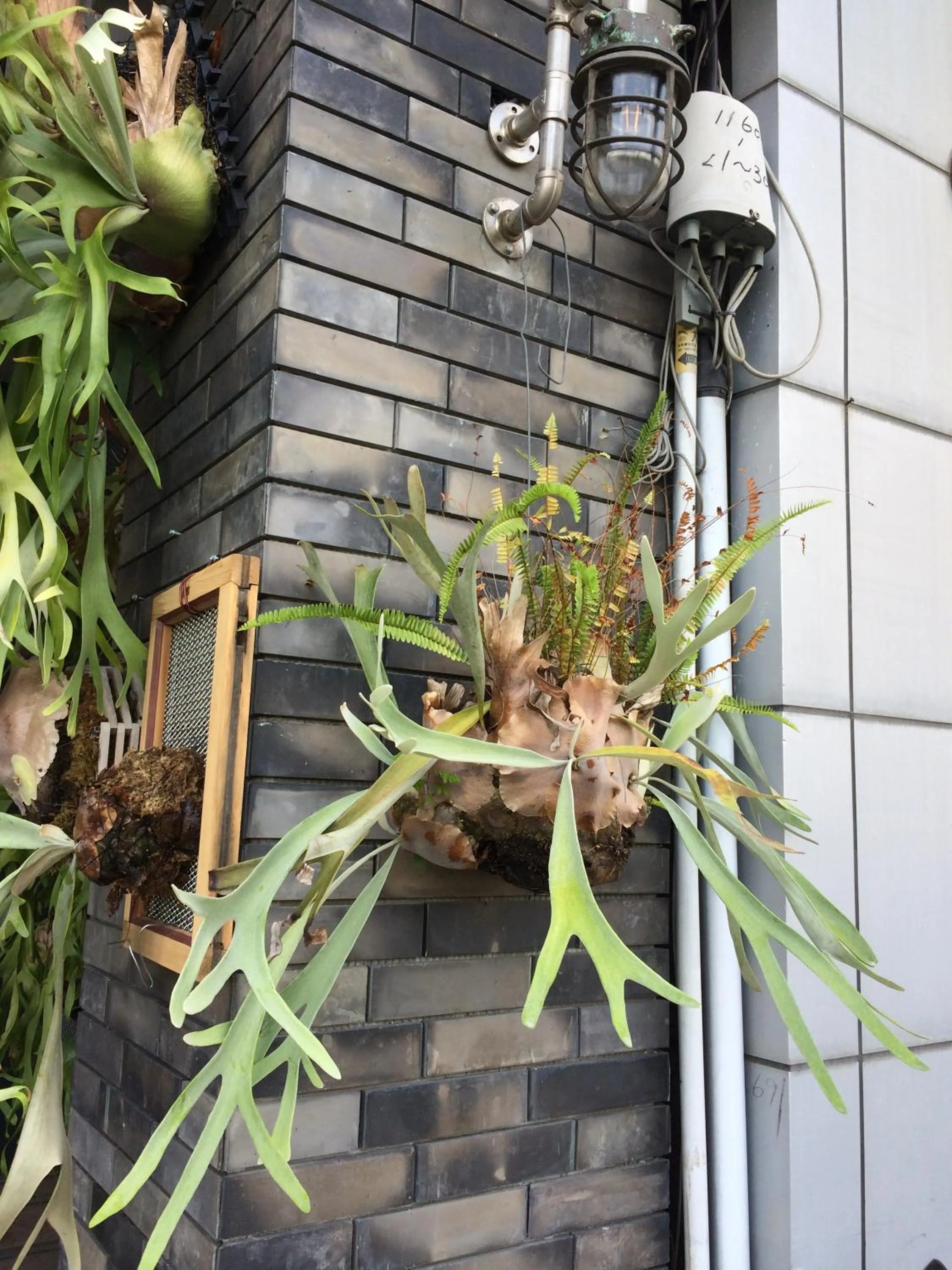 Patio in PAPO'A Hotel