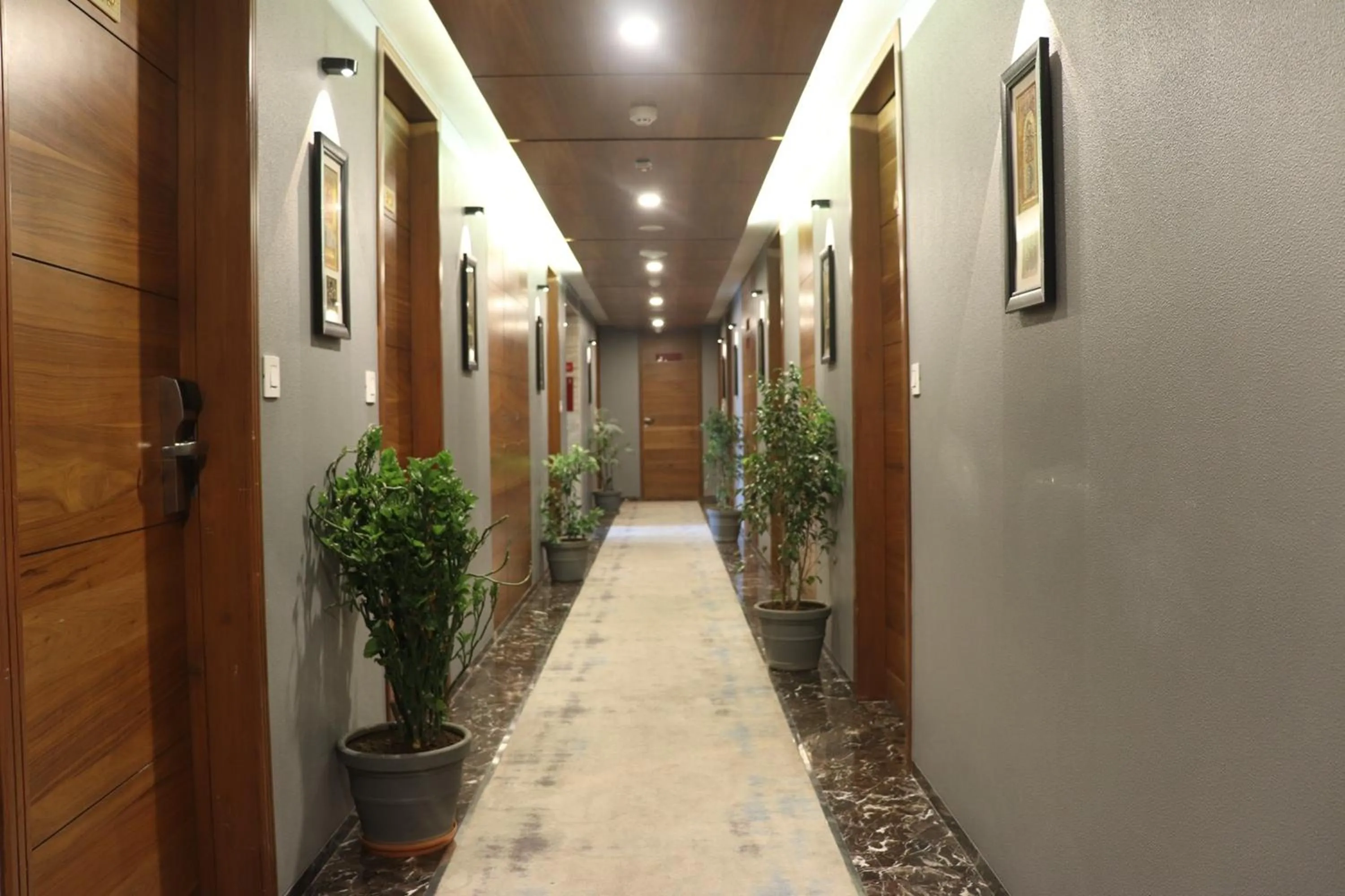 Property building in Shree Kanak Udaipur