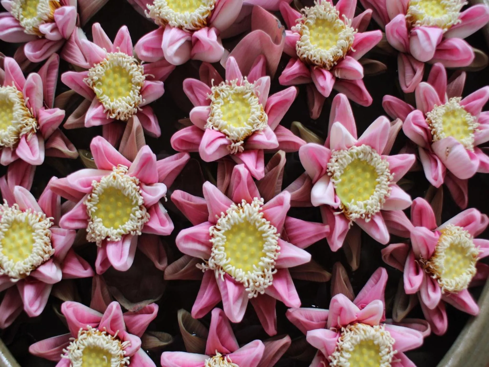 Spa and wellness centre/facilities in Savada Angkor Boutique Hotel