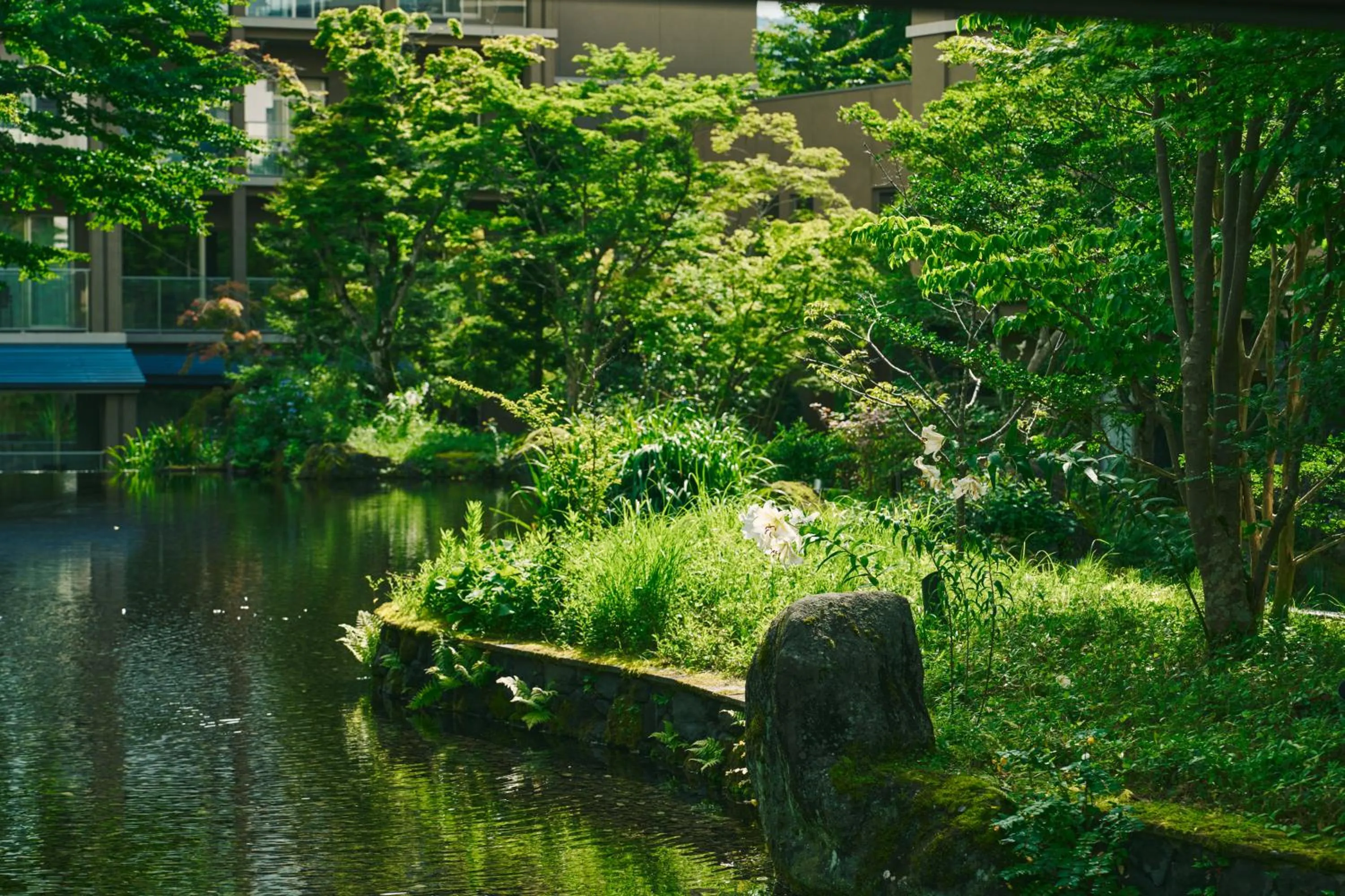 Area and facilities in Hakone Hisui