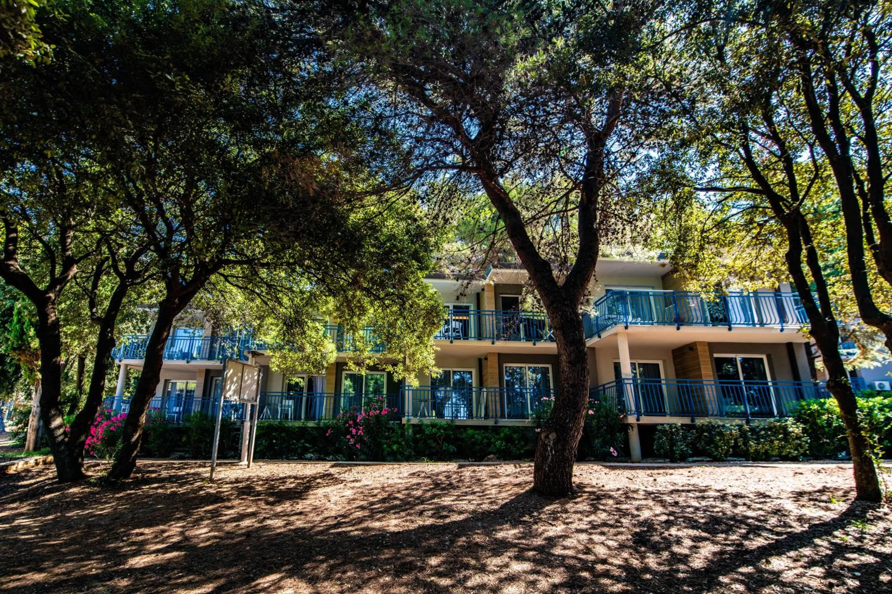 Property building in Arena Verudela Beach