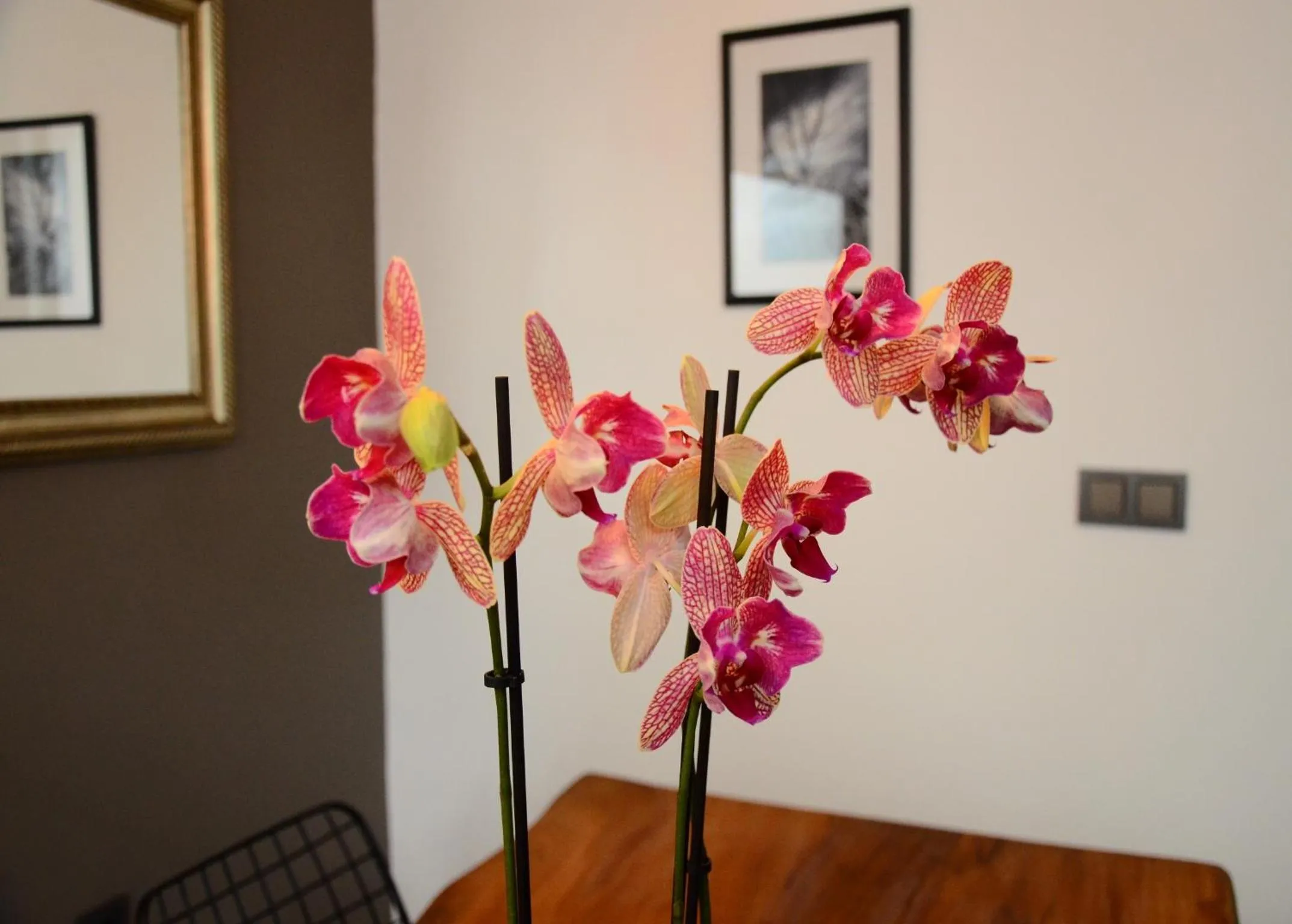 Decorative detail in Xenia Hotel Taksim