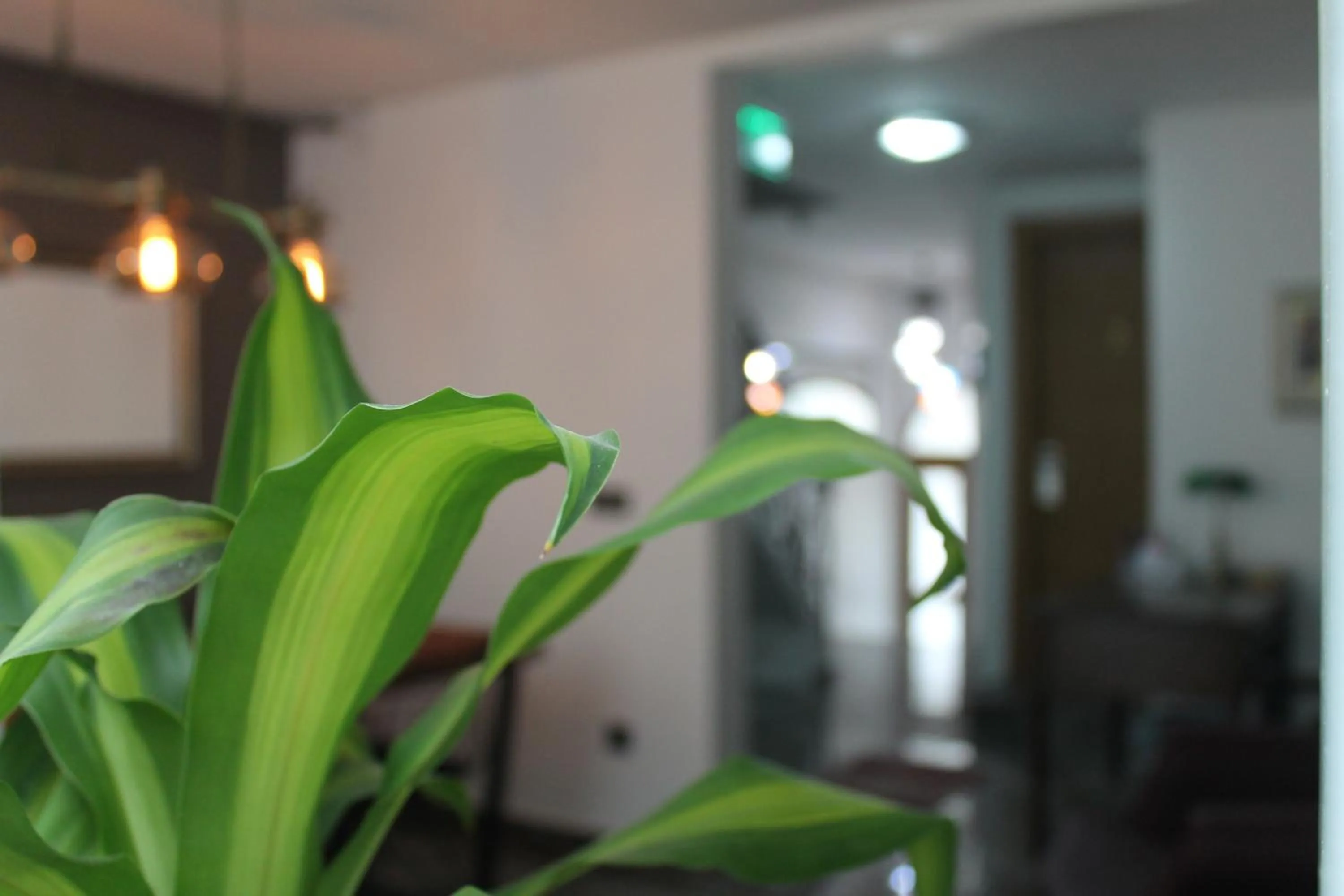 Restaurant/places to eat in Xenia Hotel Taksim