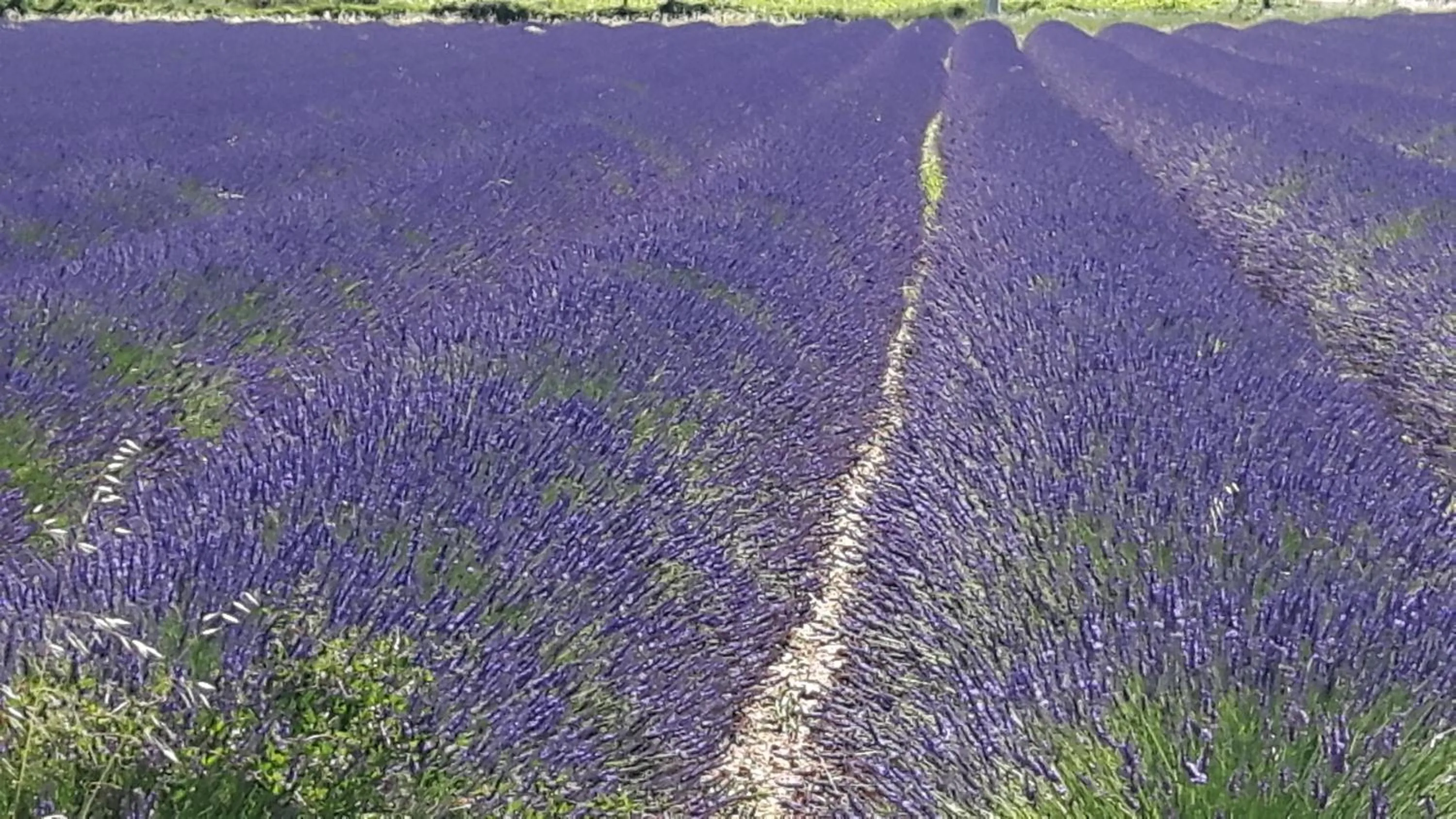 Natural landscape in Louminai