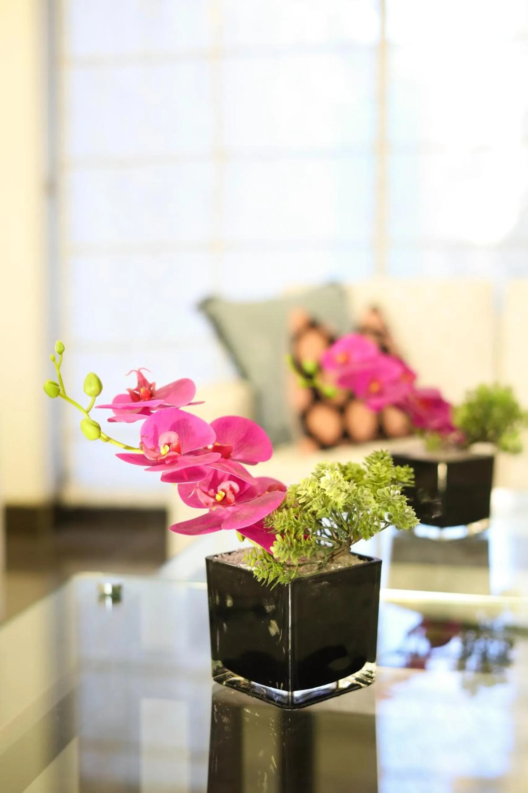 Seating area in Hotel Margala