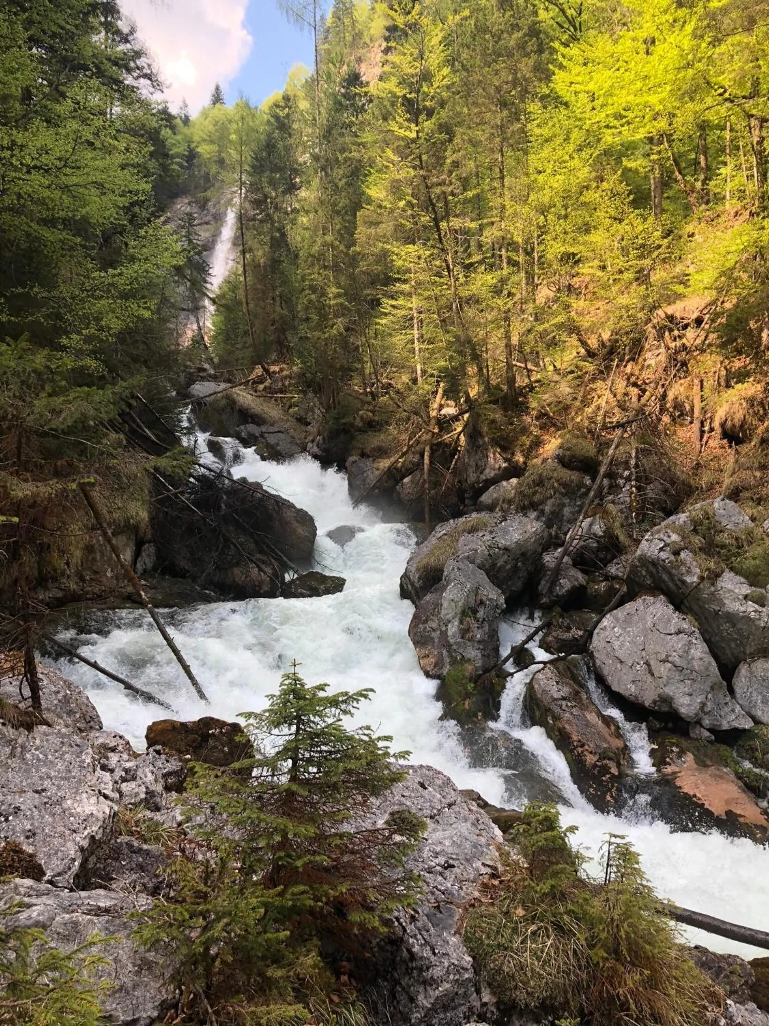 Natural landscape in Fenix Hall Boutique Hotel Hallstatt