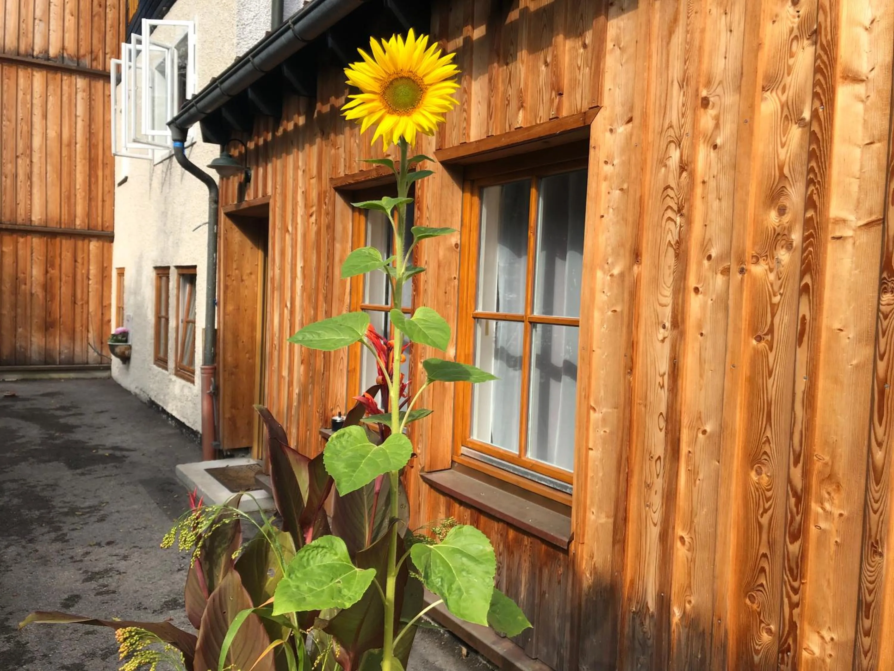 Fenix Hall Boutique Hotel Hallstatt