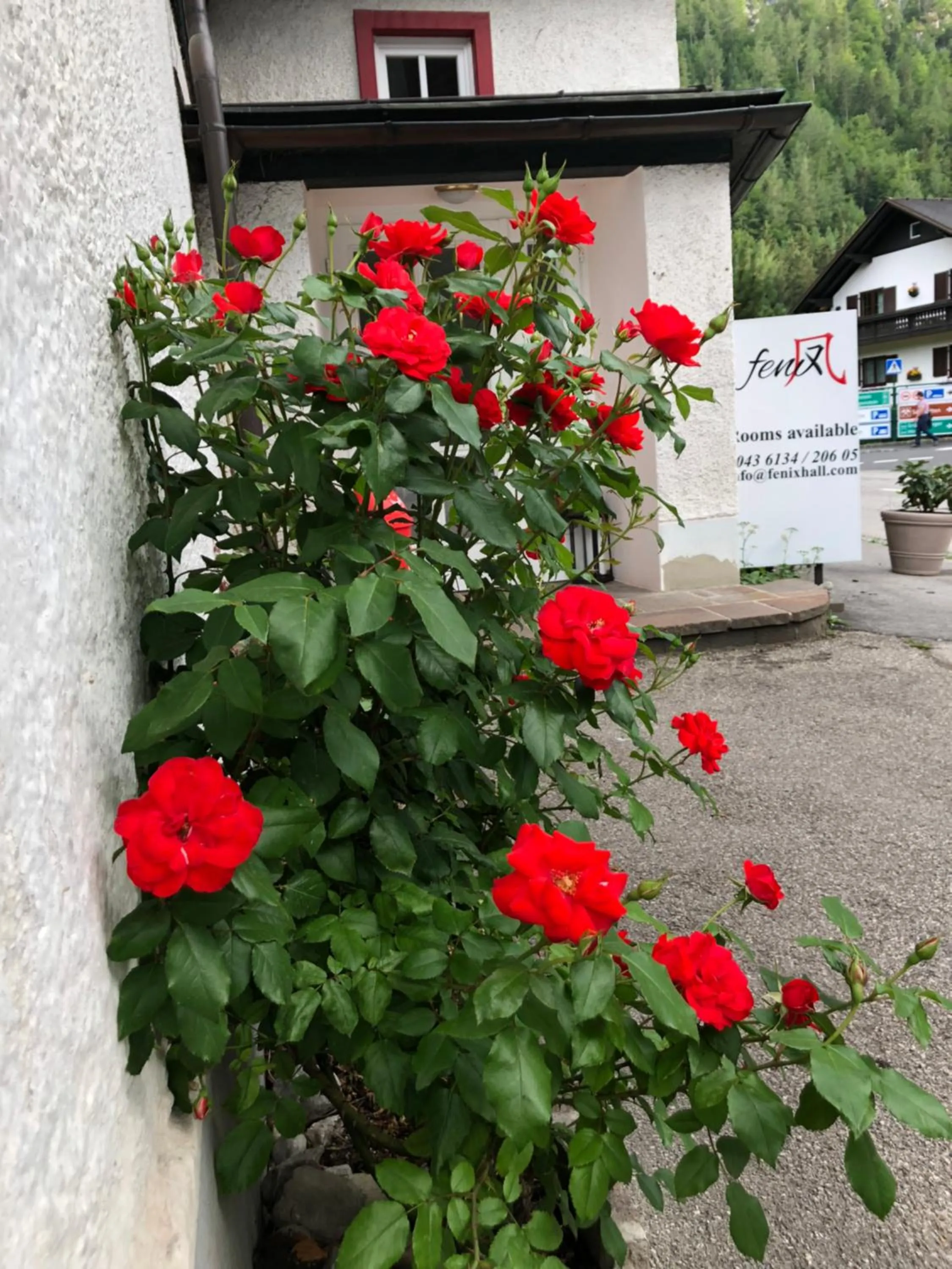 Property building in Fenix Hall Boutique Hotel Hallstatt