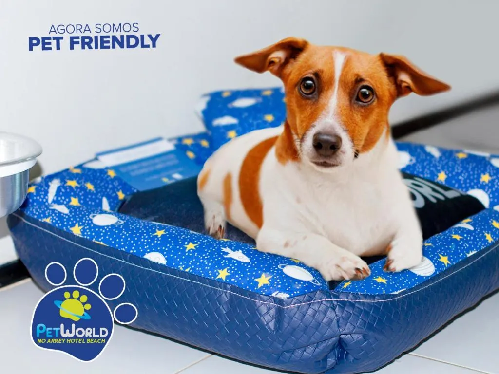 Pets in Arrey Beach Hotel