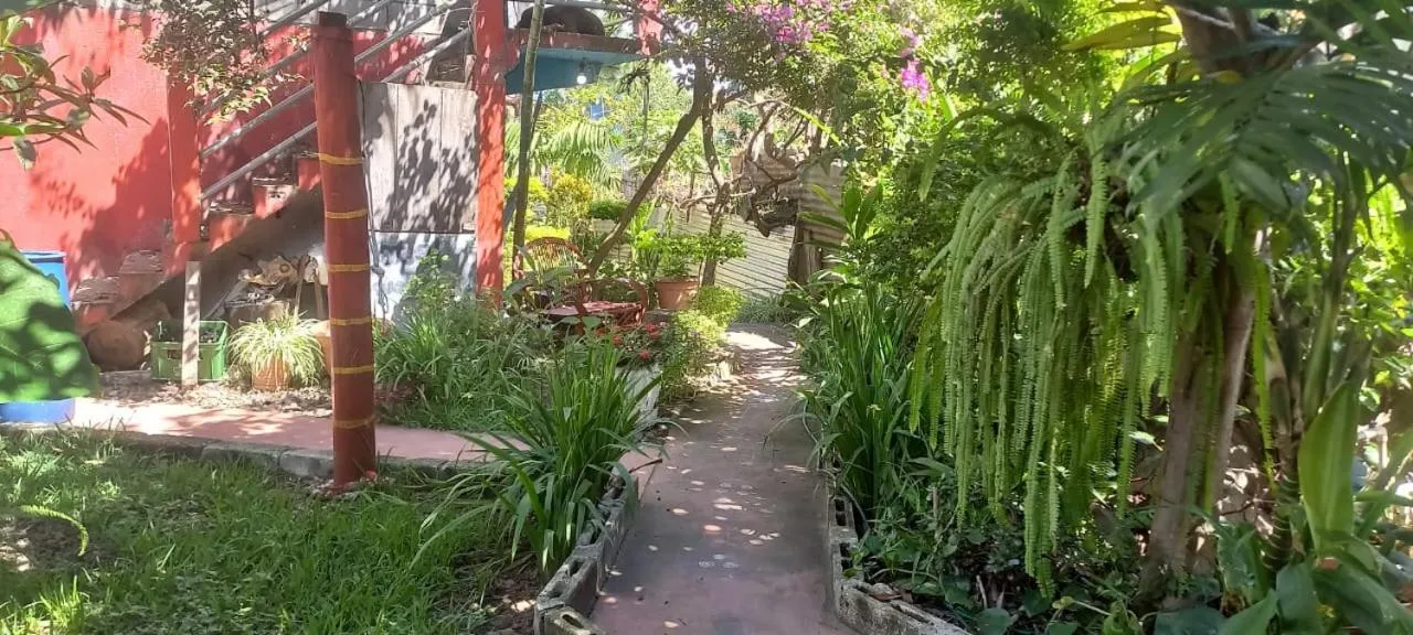 Garden in Hotel y Restaurante Playa Linda
