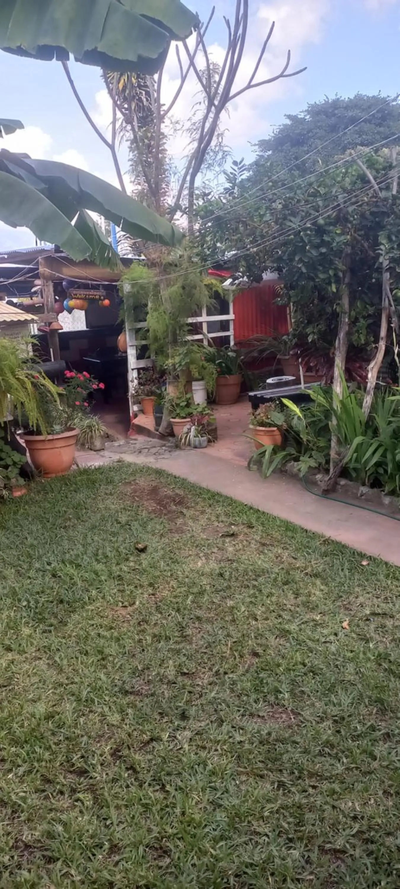 Garden in Hotel y Restaurante Playa Linda