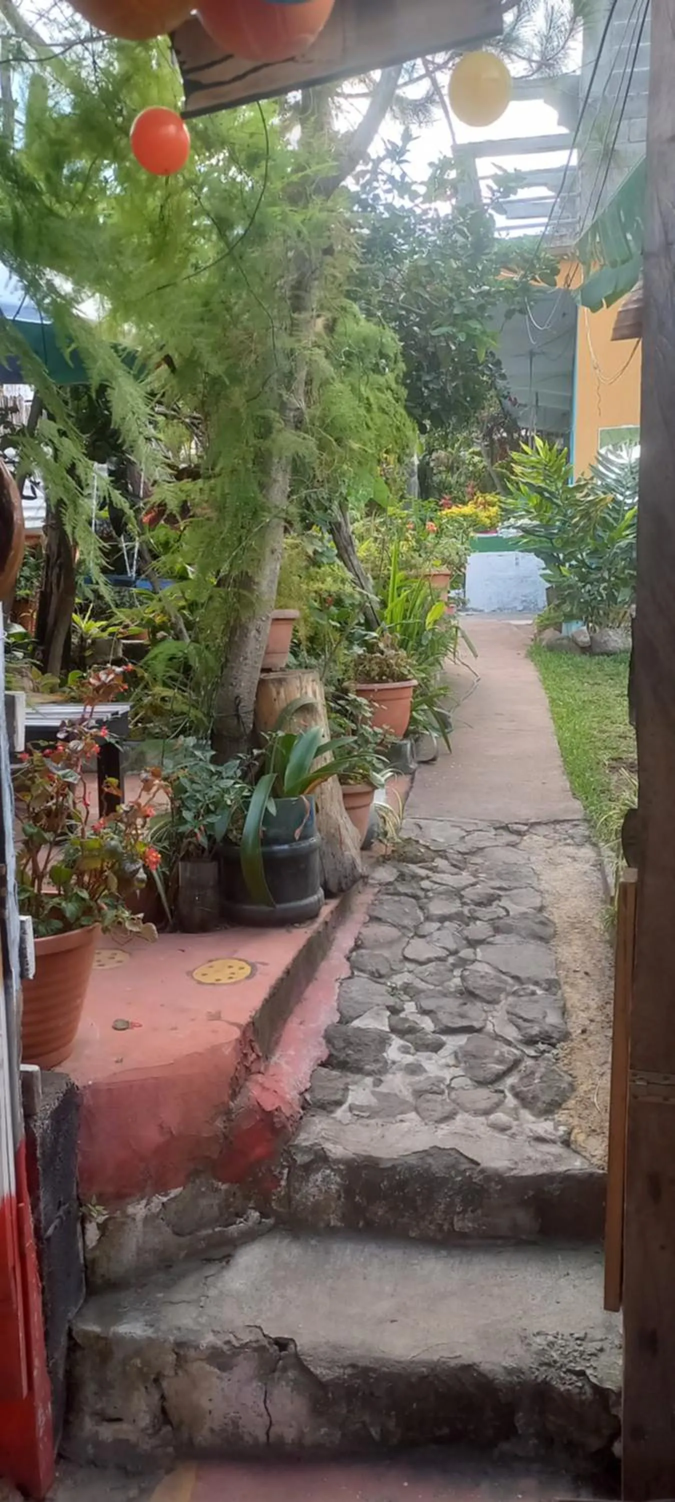 Garden in Hotel y Restaurante Playa Linda
