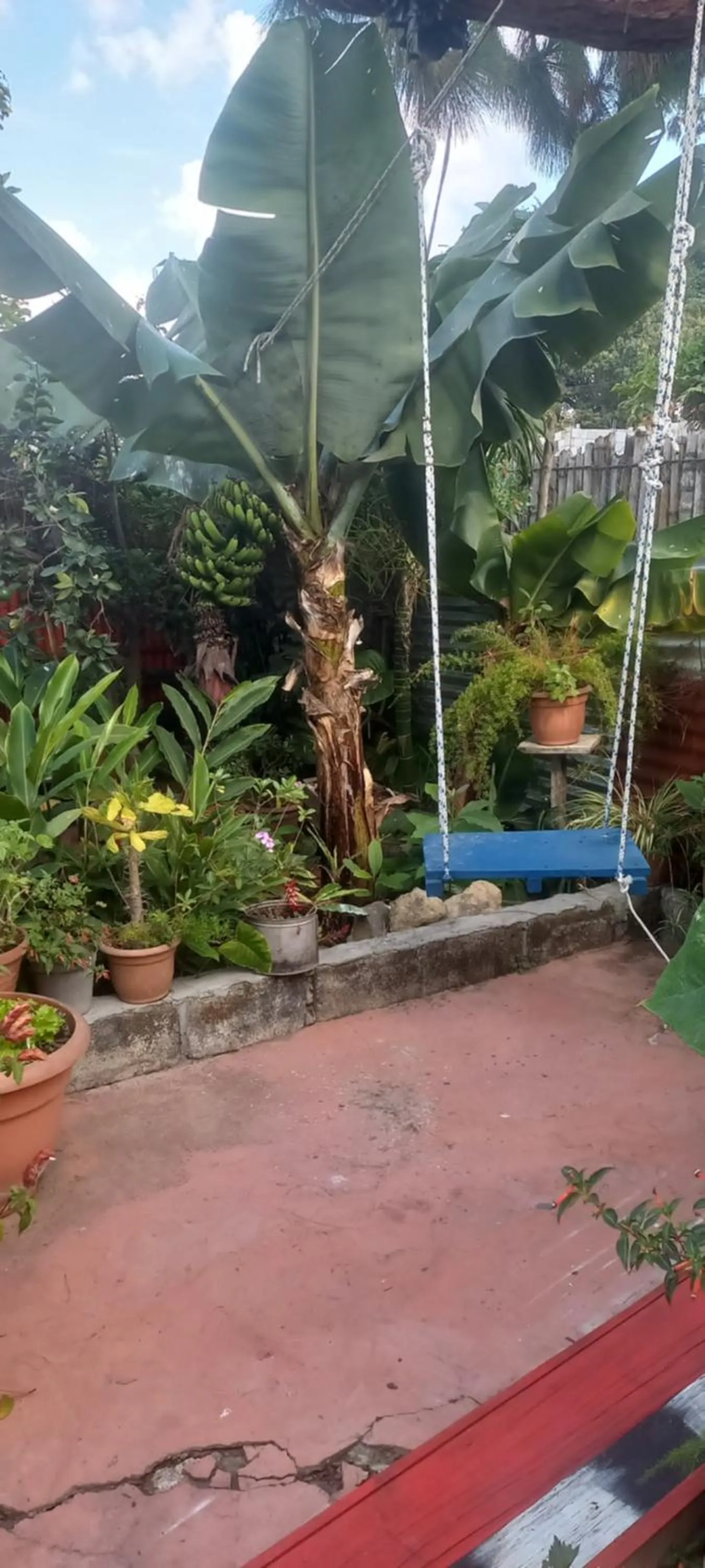 Garden in Hotel y Restaurante Playa Linda