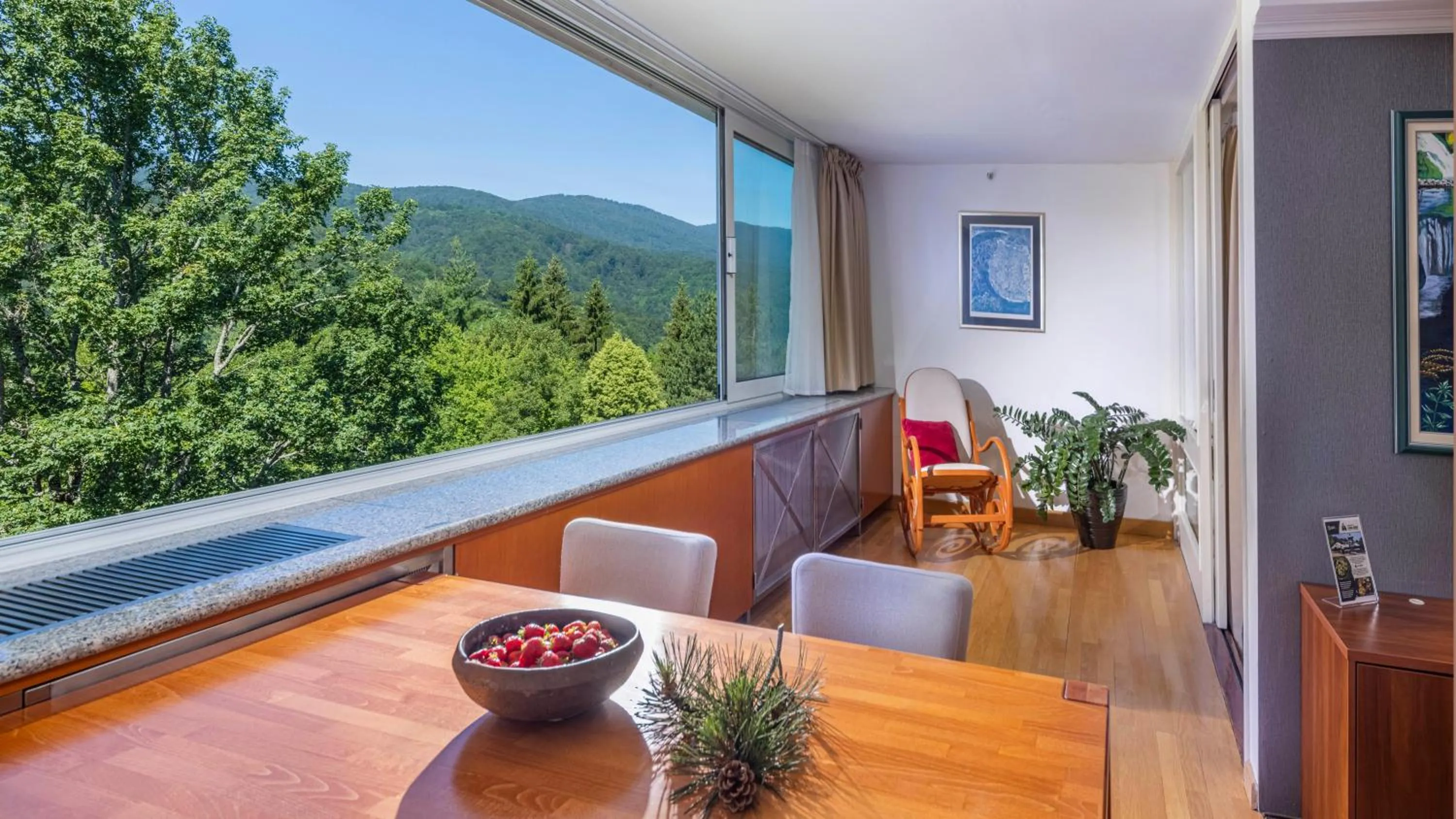 View (from property/room) in Hotel Jezero - Plitvice Lakes National Park