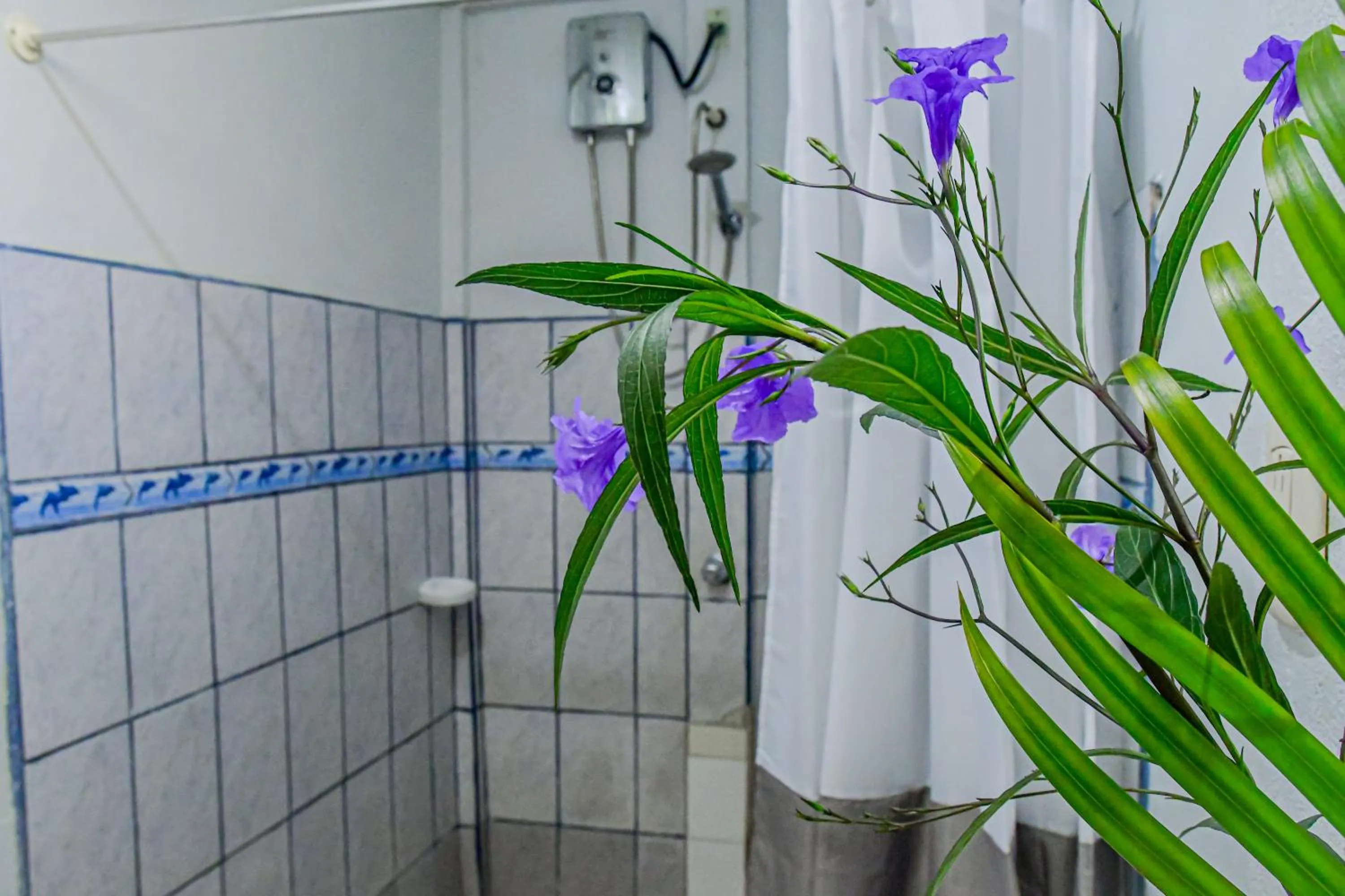 Cabinas Bahía Uvita - Marino Ballena National Park Lodge