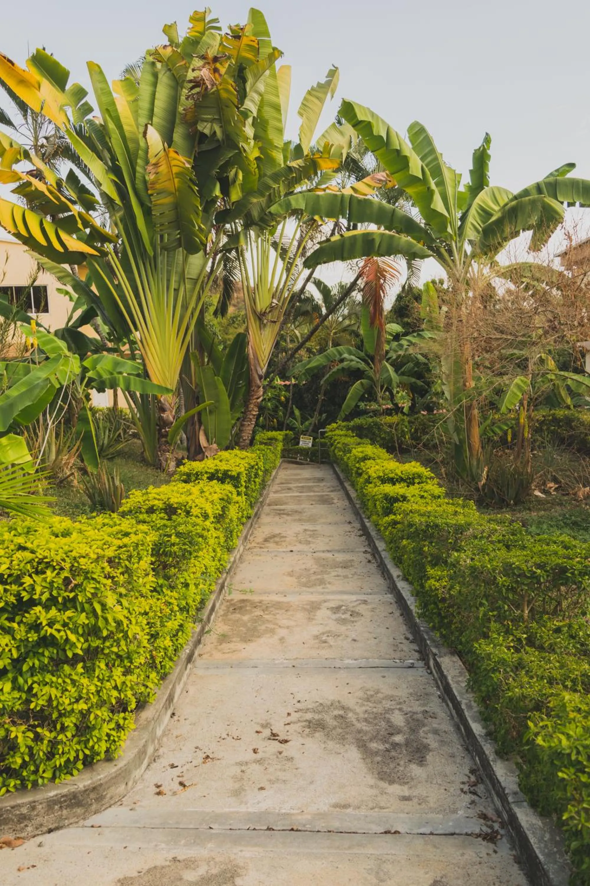 Patio in Hotel Manantial