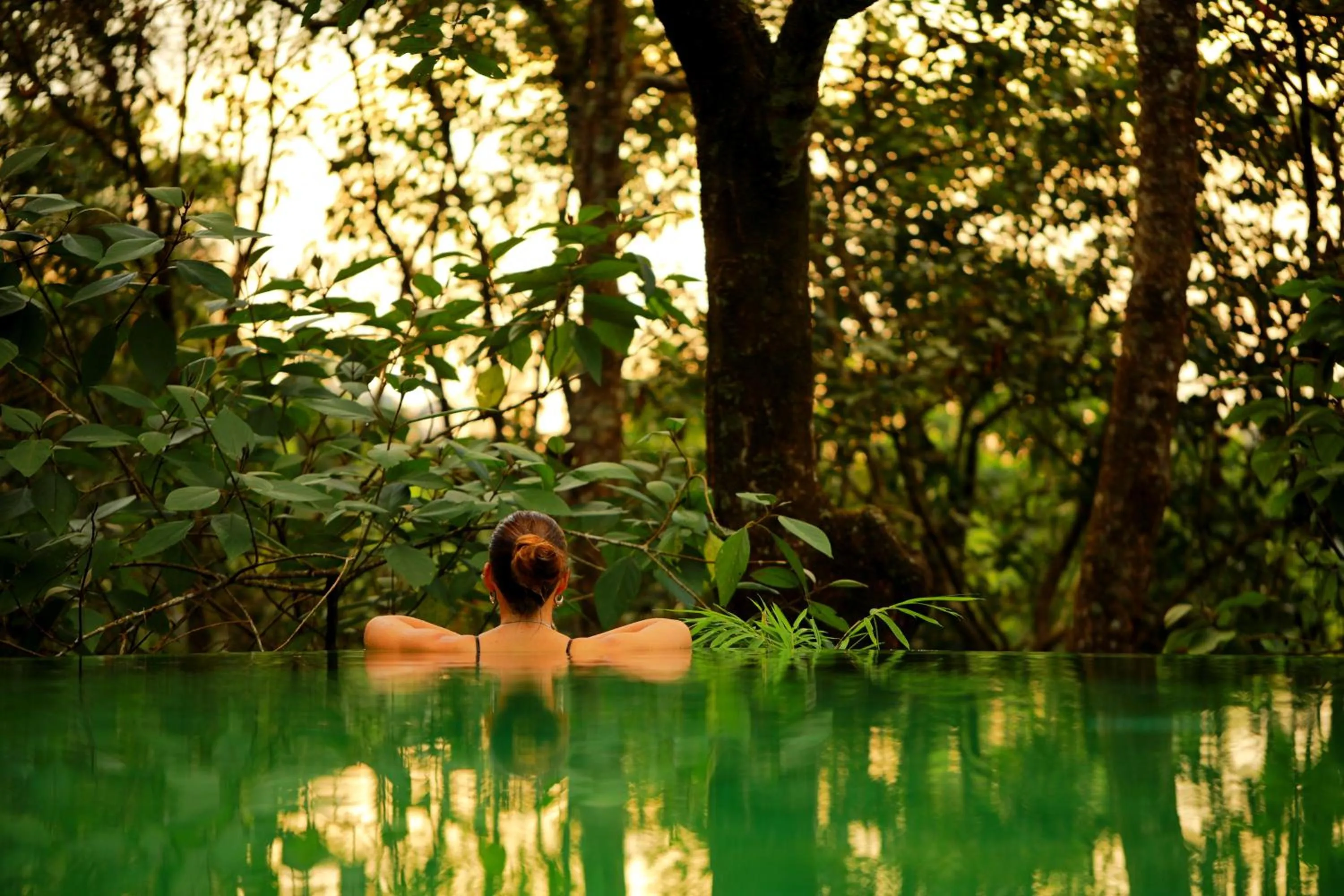 Swimming pool in Wayanad Wild - A CGH Earth Experience