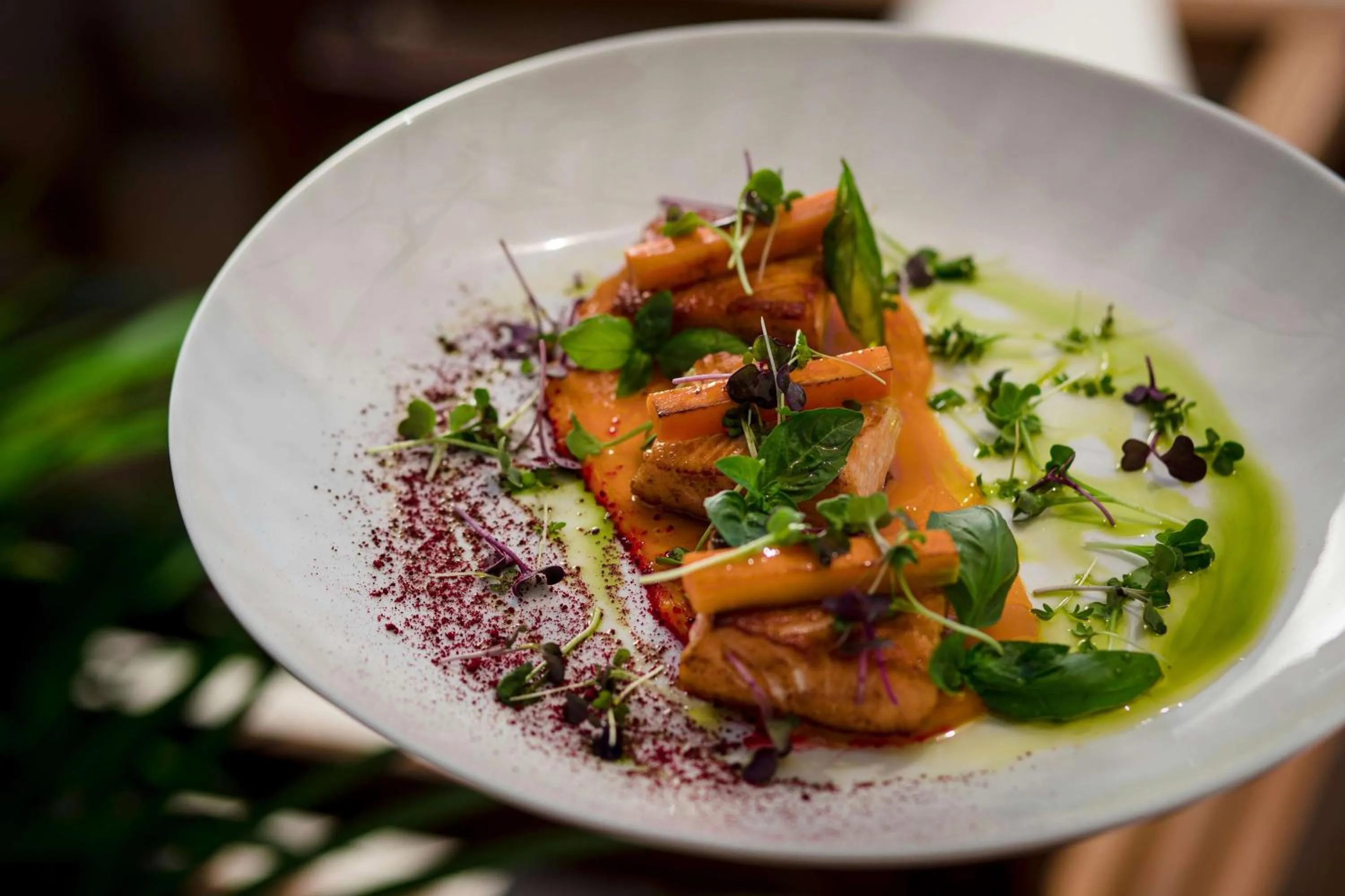 Restaurant/places to eat in Rixos Premium Dubrovnik