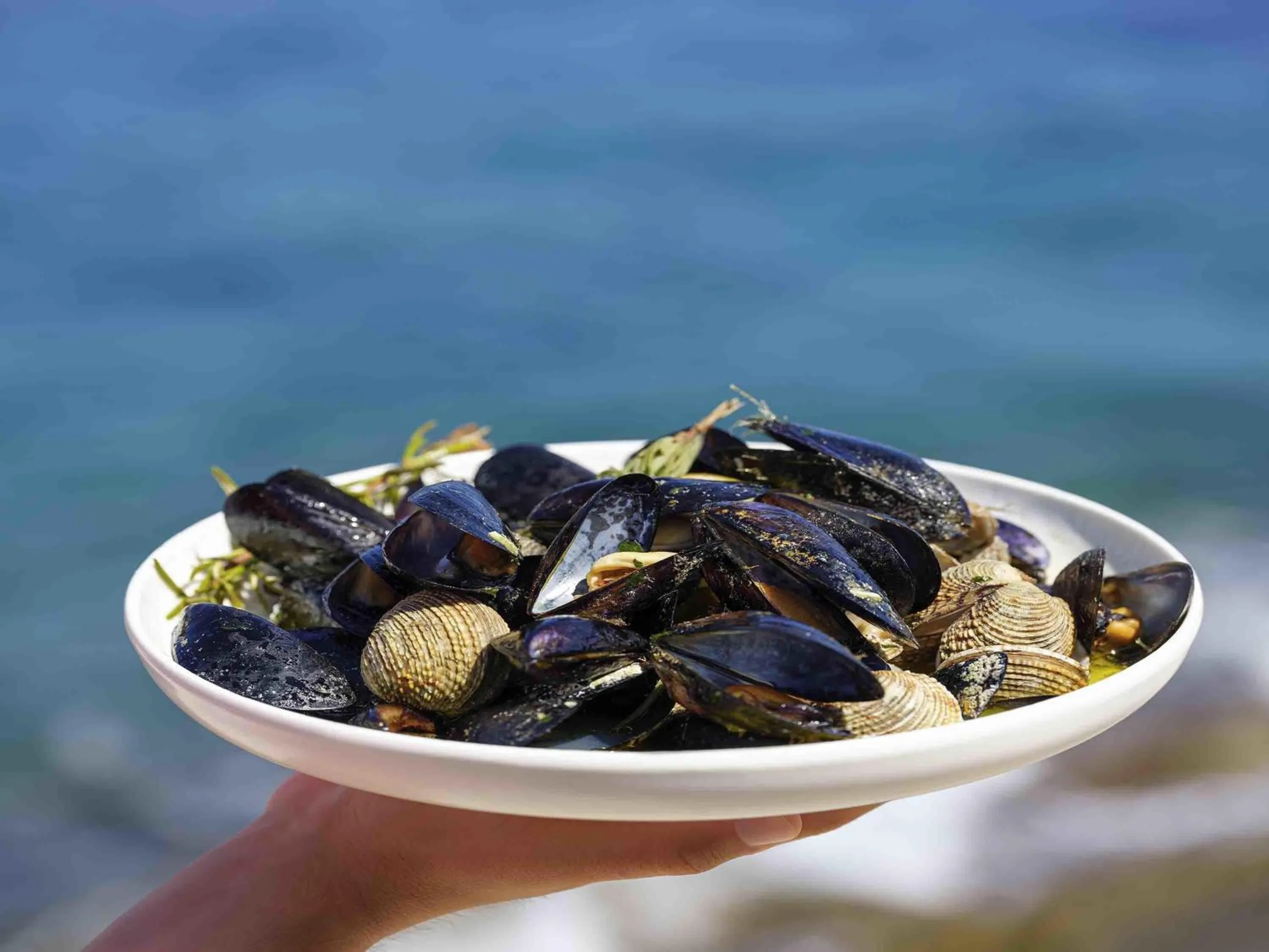 Restaurant/places to eat in Rixos Premium Dubrovnik