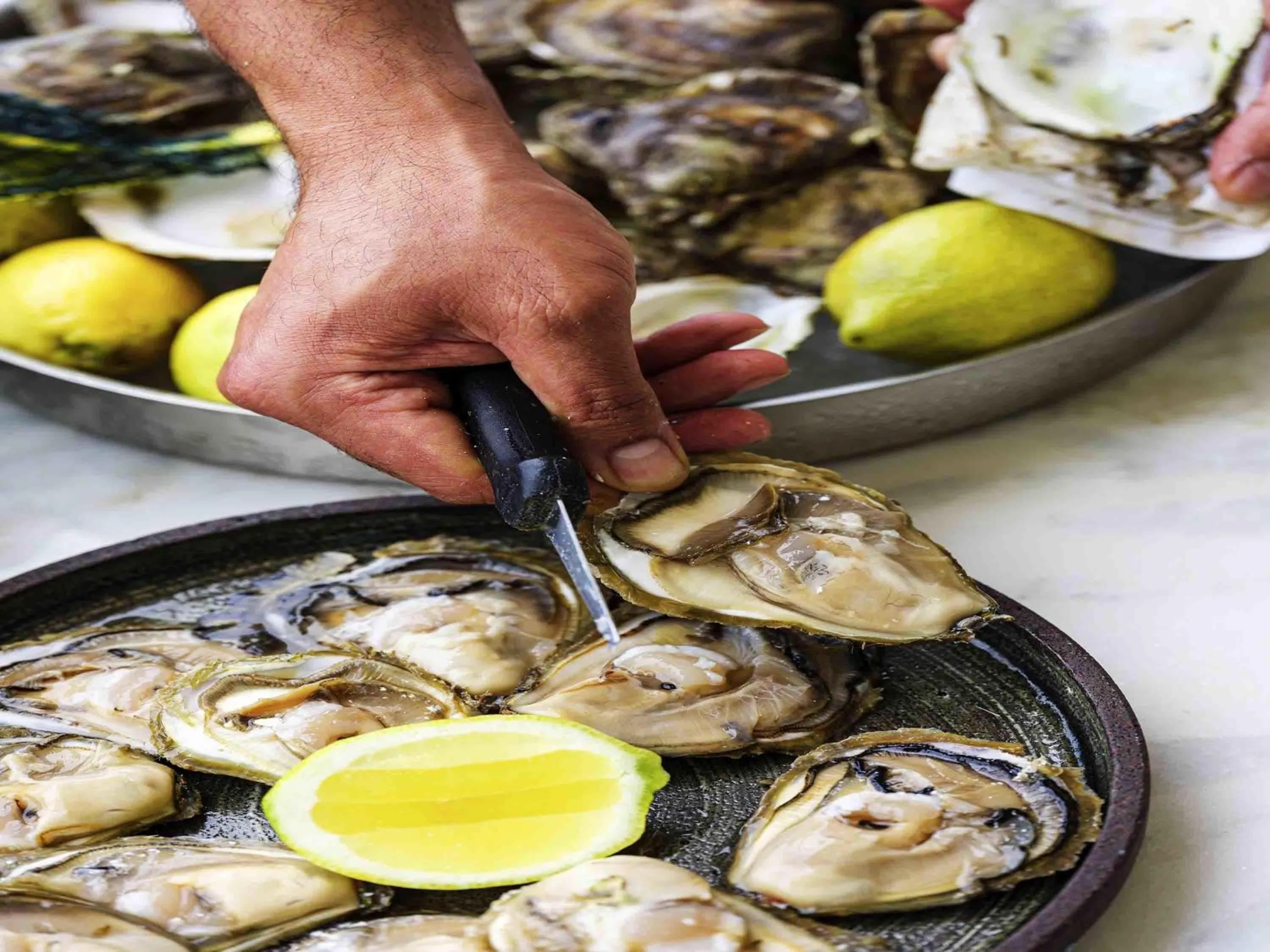 Restaurant/places to eat in Rixos Premium Dubrovnik