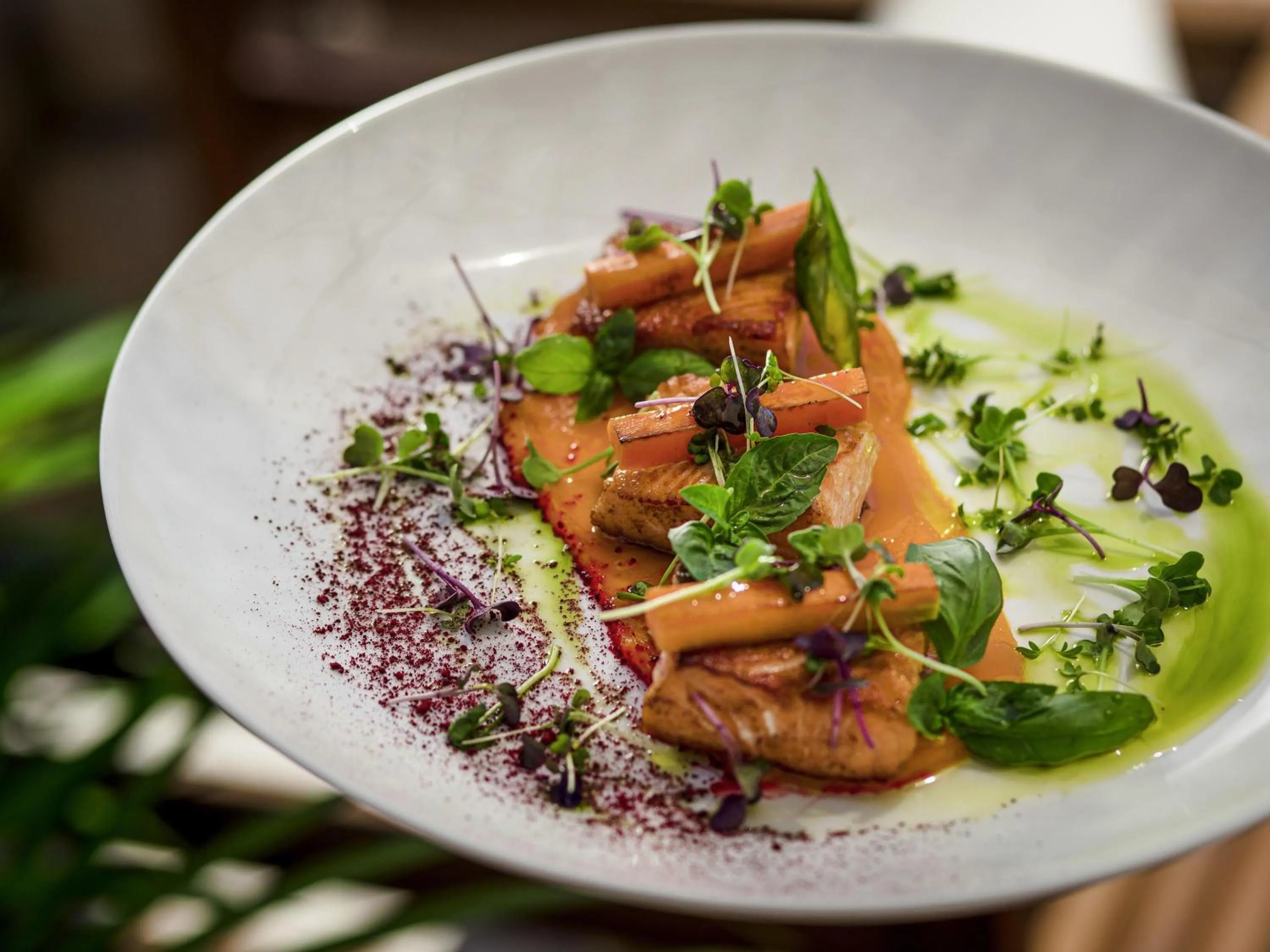 Restaurant/places to eat in Rixos Premium Dubrovnik