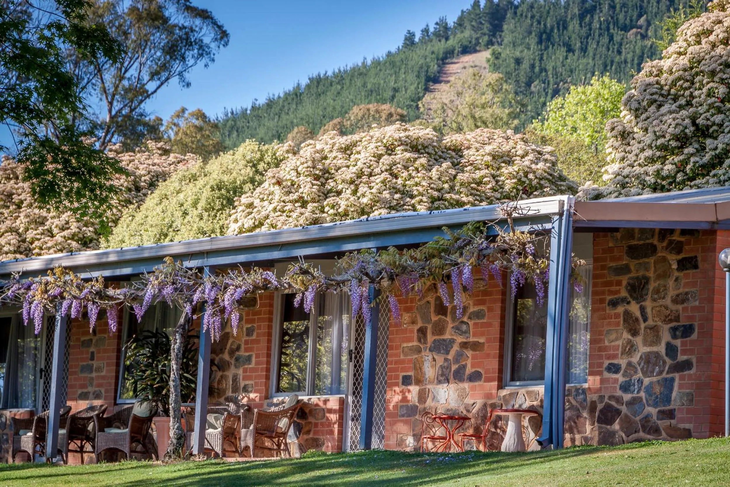 Patio in Bright Mystic Valley