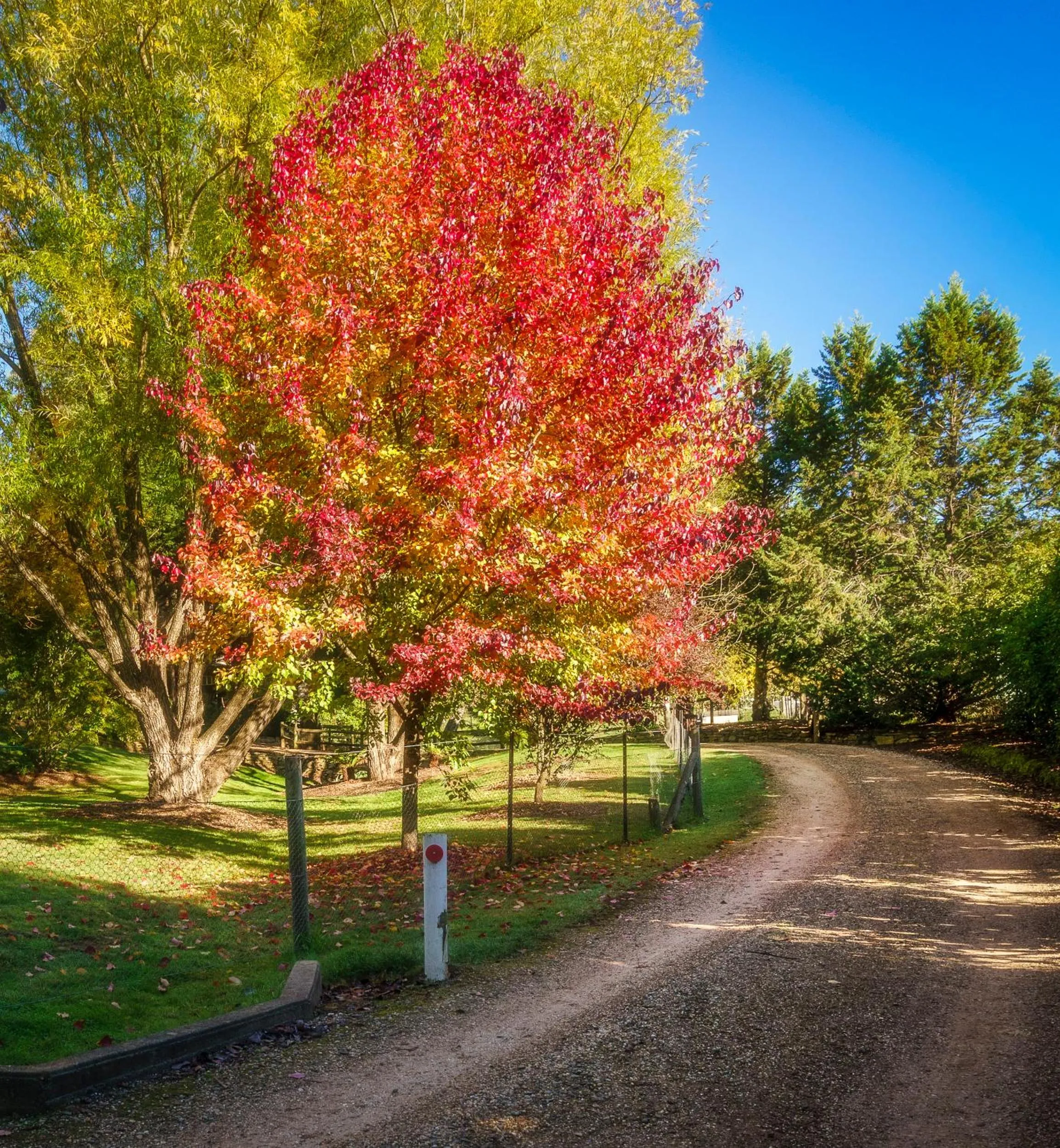 Property building in Bright Mystic Valley