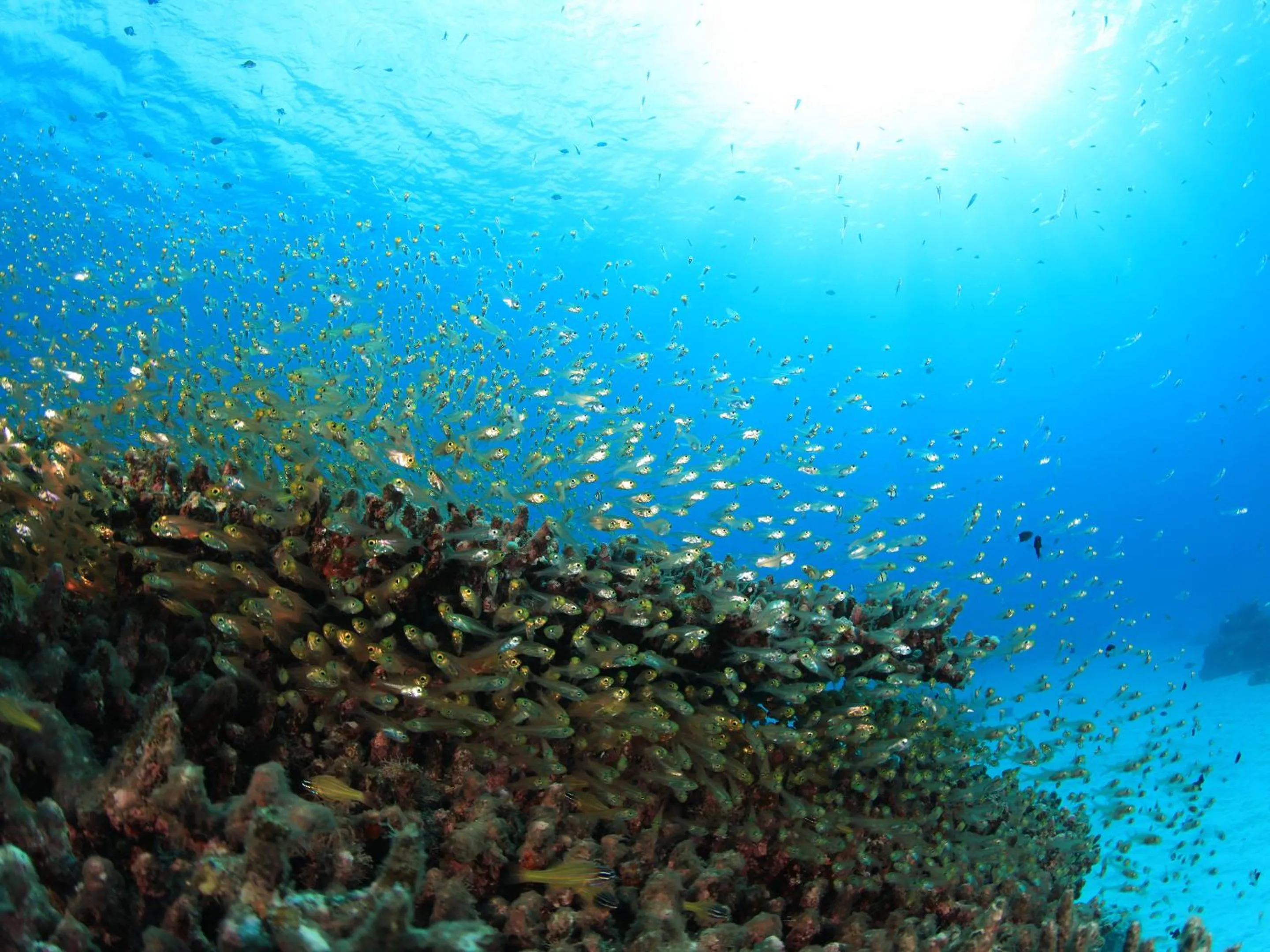 Off site in Tokashiku Marine Villege