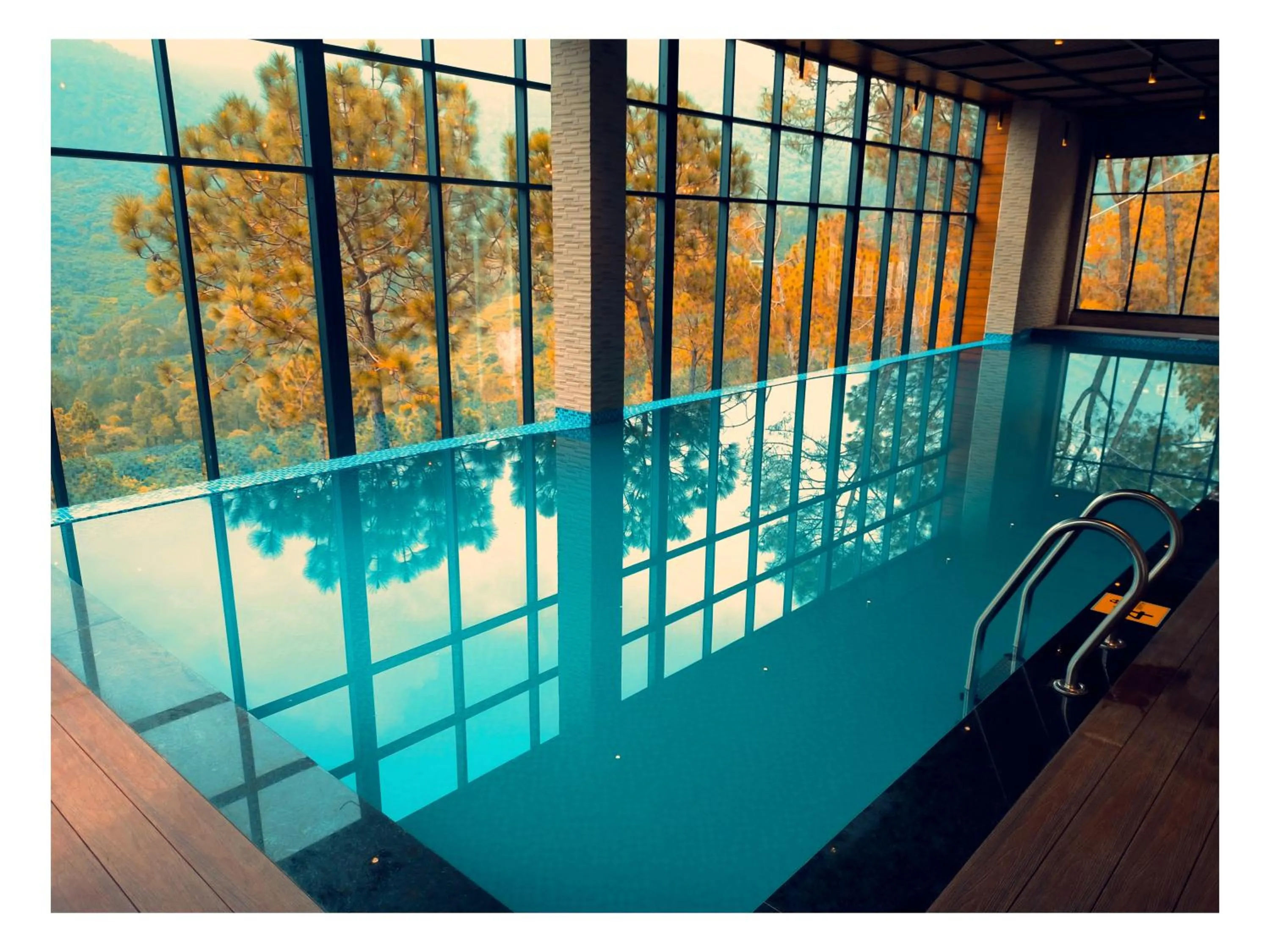 Swimming pool in Jungle Lodge Resort