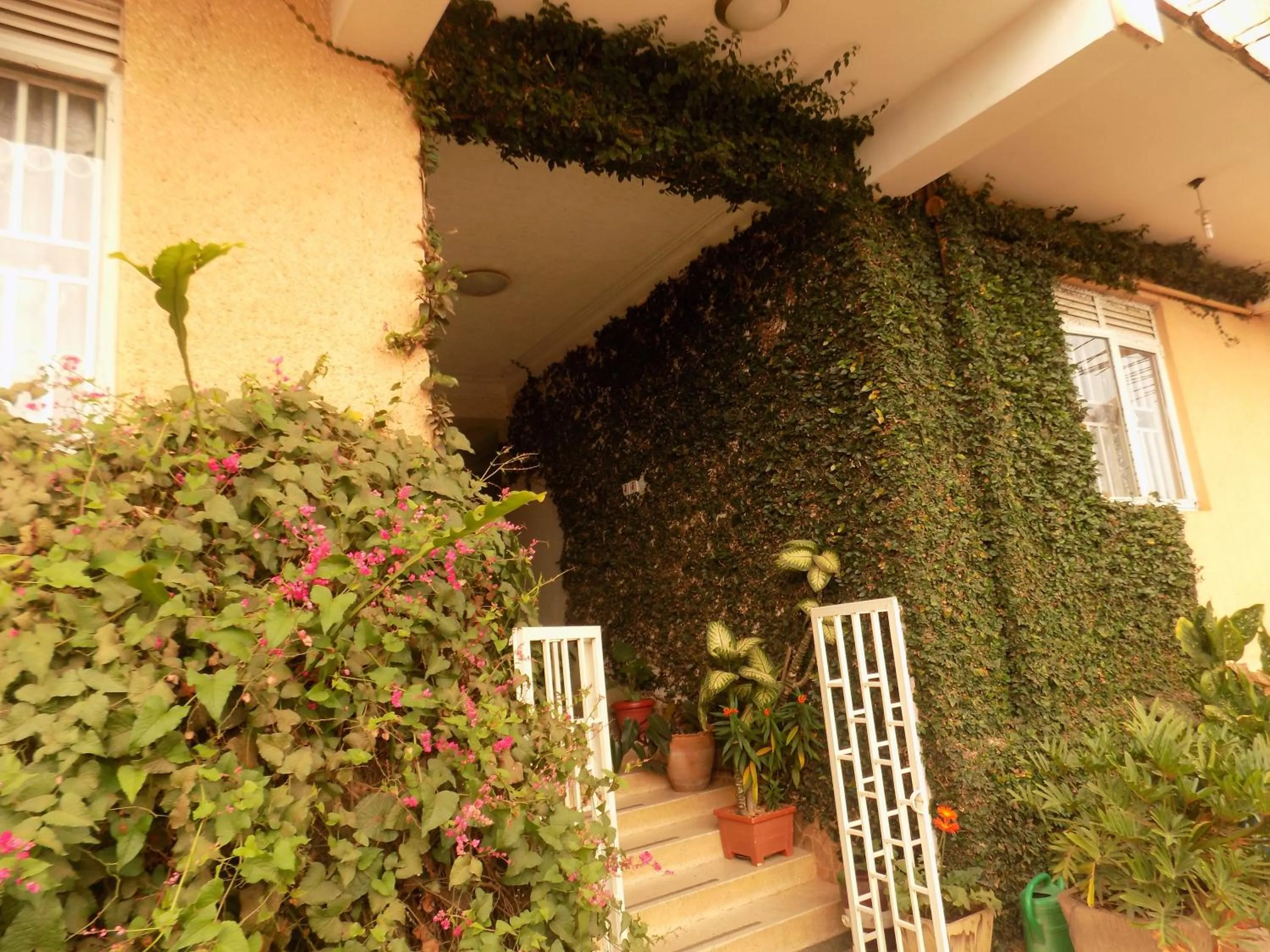 Property building in Meliva Guest House Mbarara