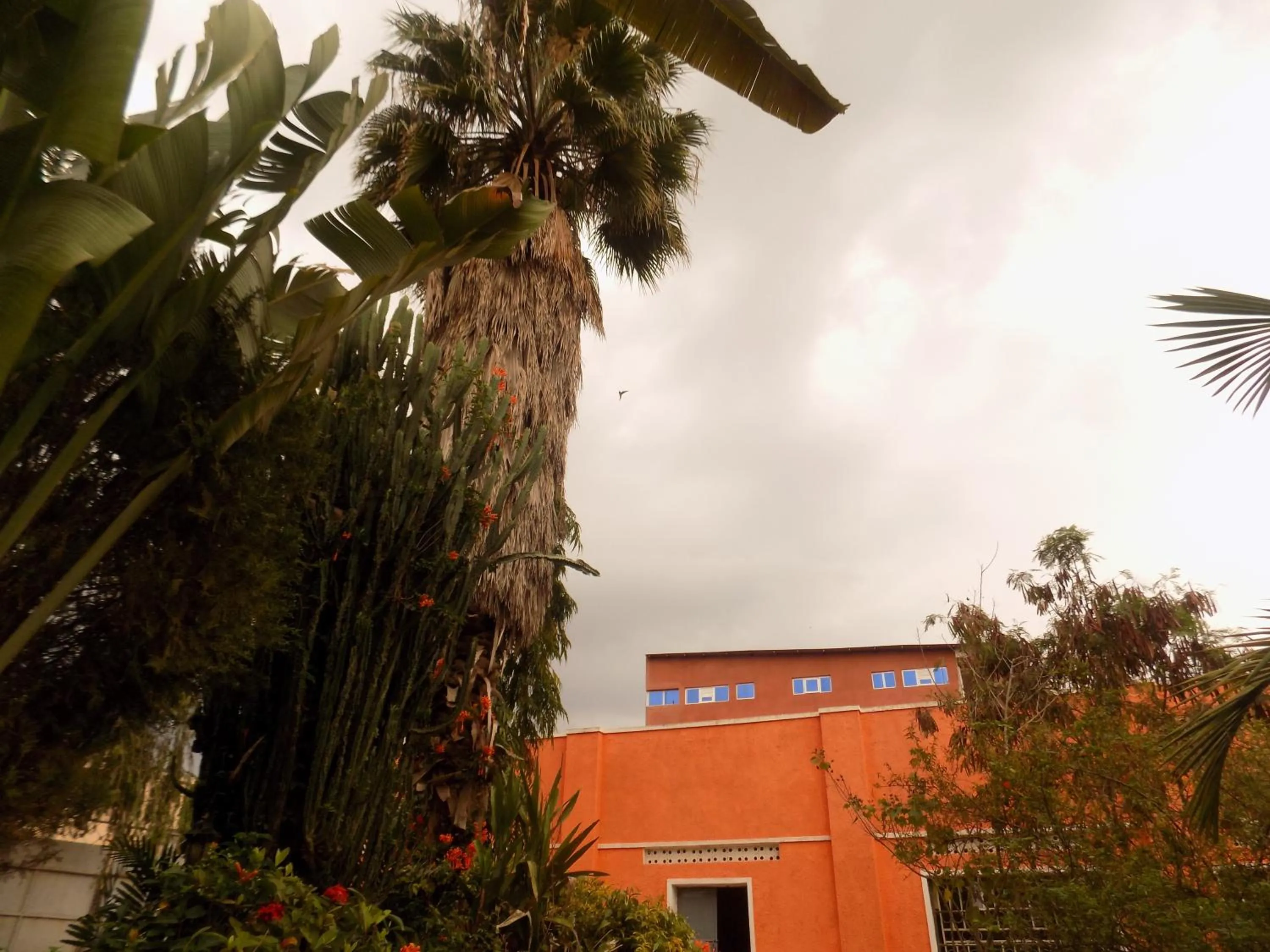 Property building in Meliva Guest House Mbarara