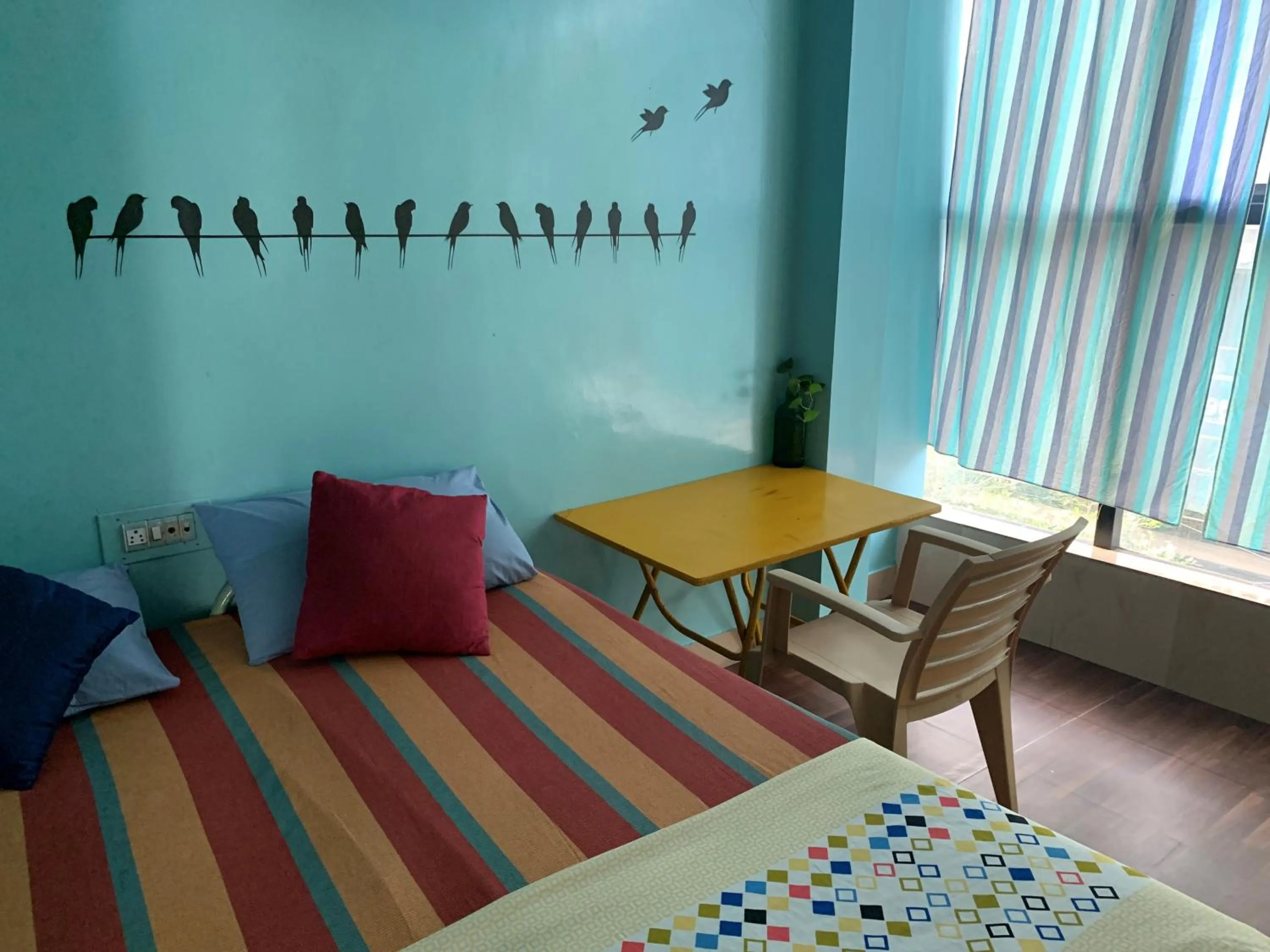 Bed in The Little Blue Window Hostel