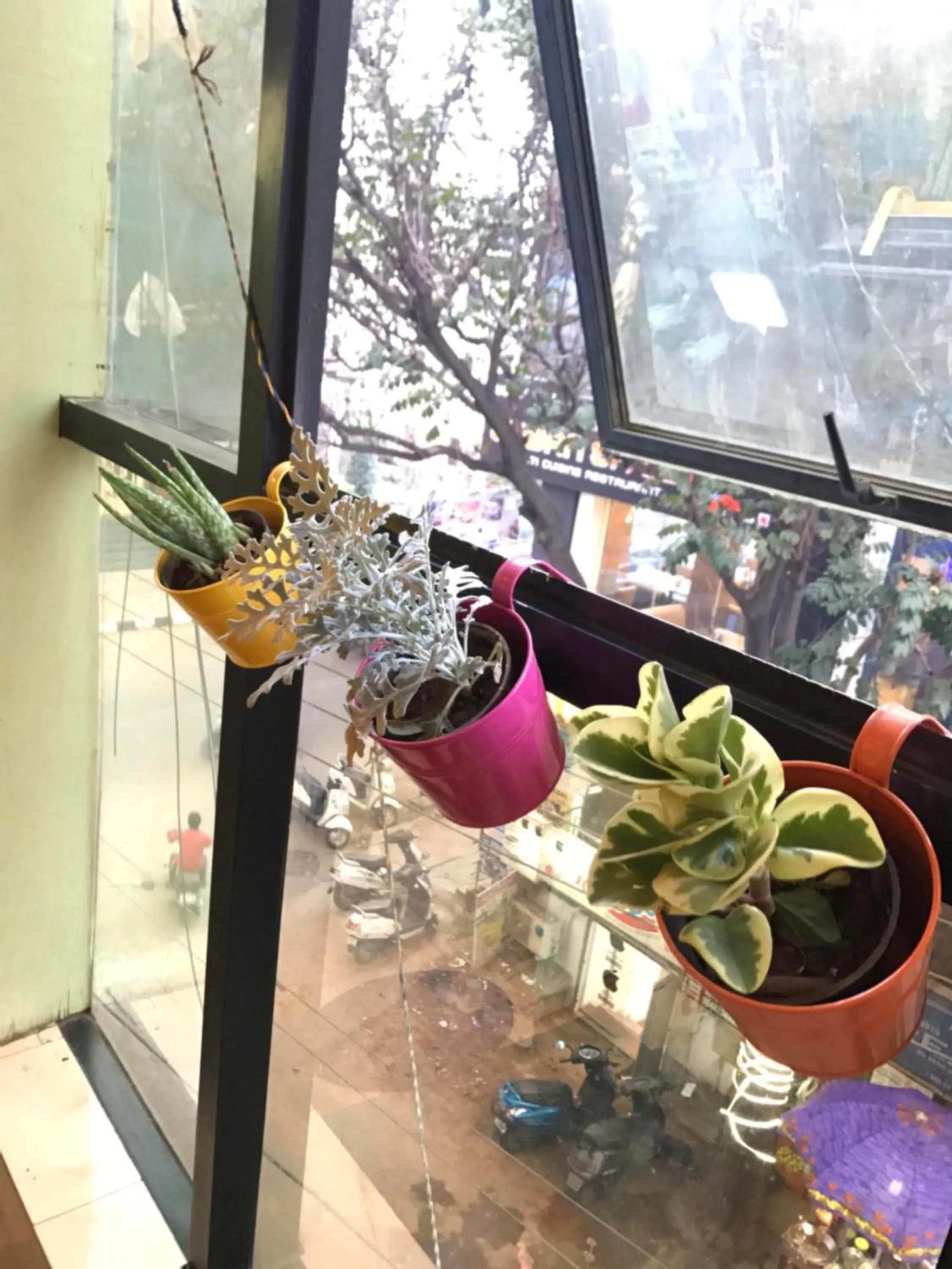 Facade/entrance in The Little Blue Window Hostel