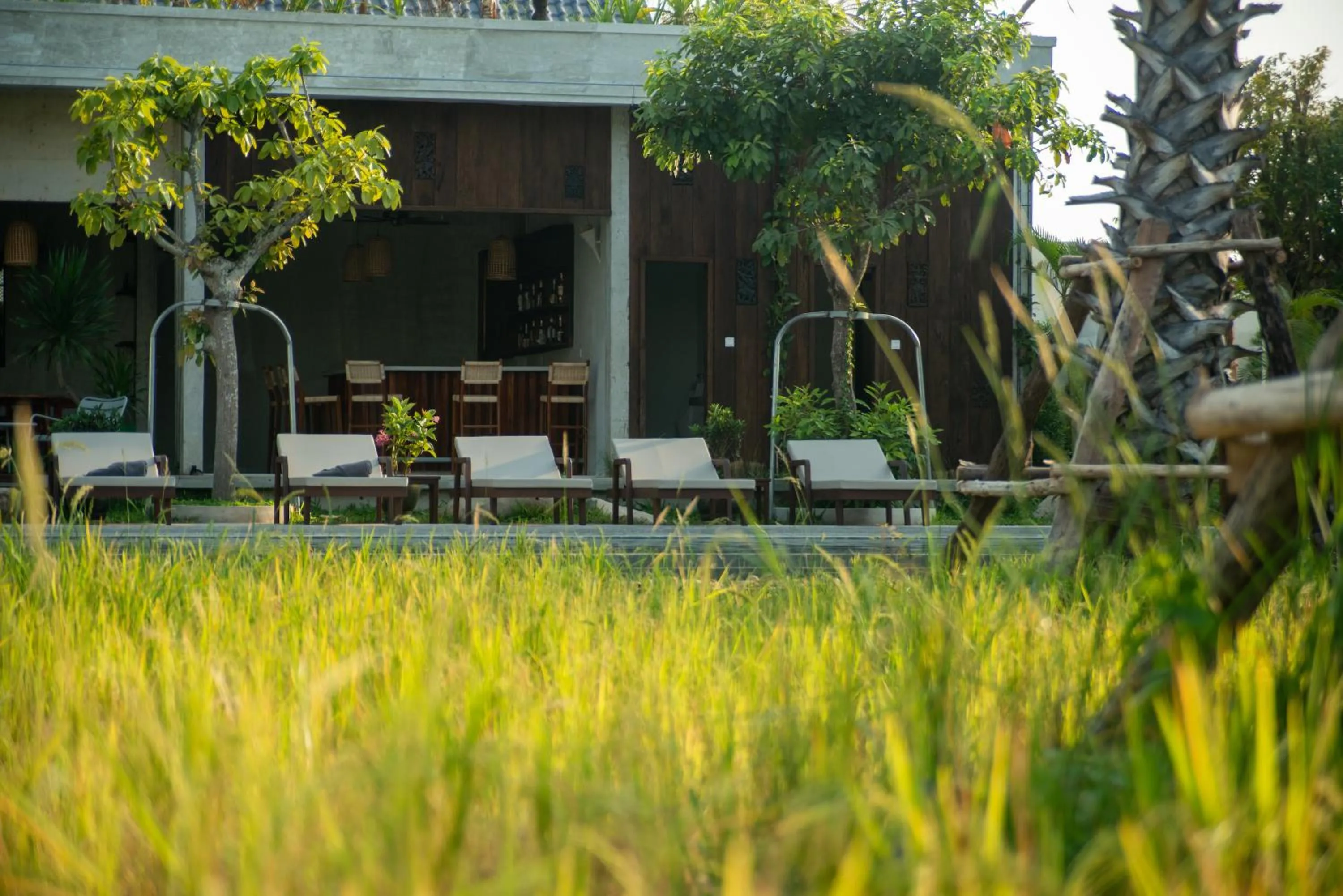 Garden view in Le Chanthou Boutique