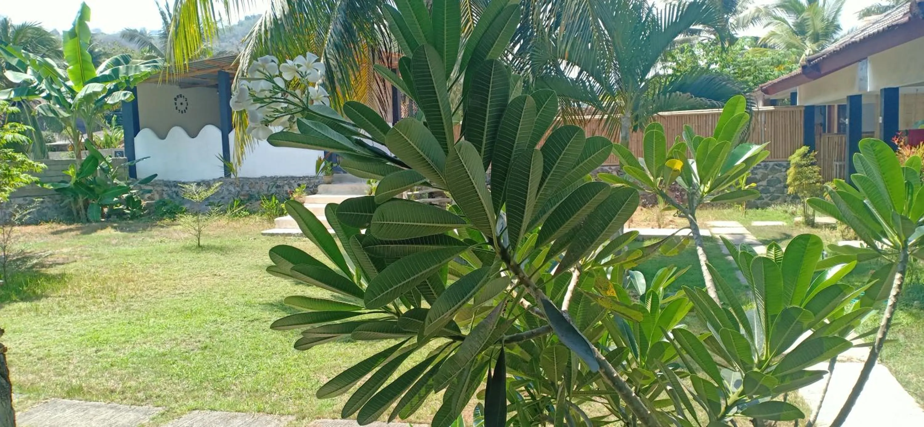 Day in Dewi Garden Guesthouse