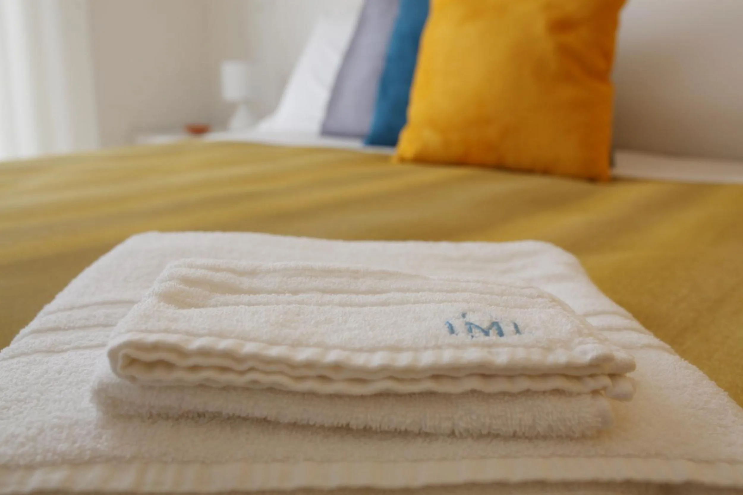 Decorative detail in Le Mulieres