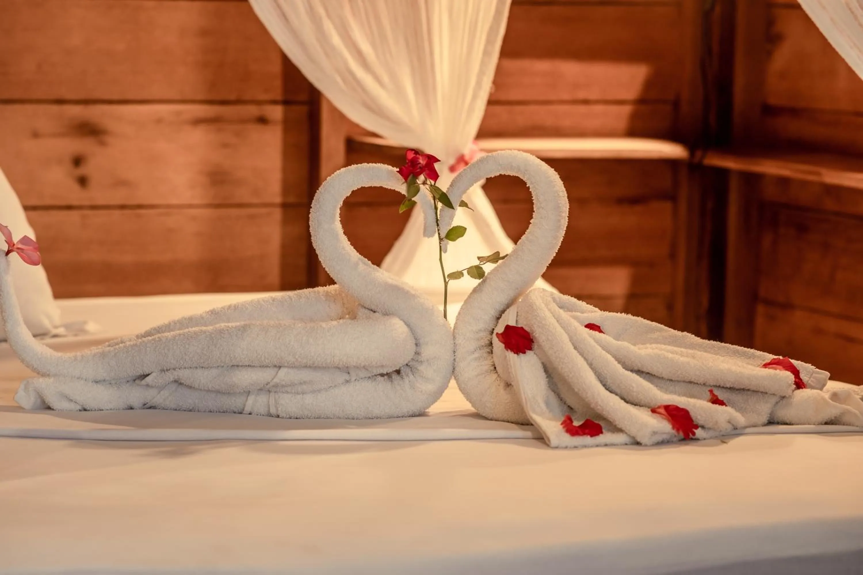 Bed in Casa Nemo Beach Resort & Spa