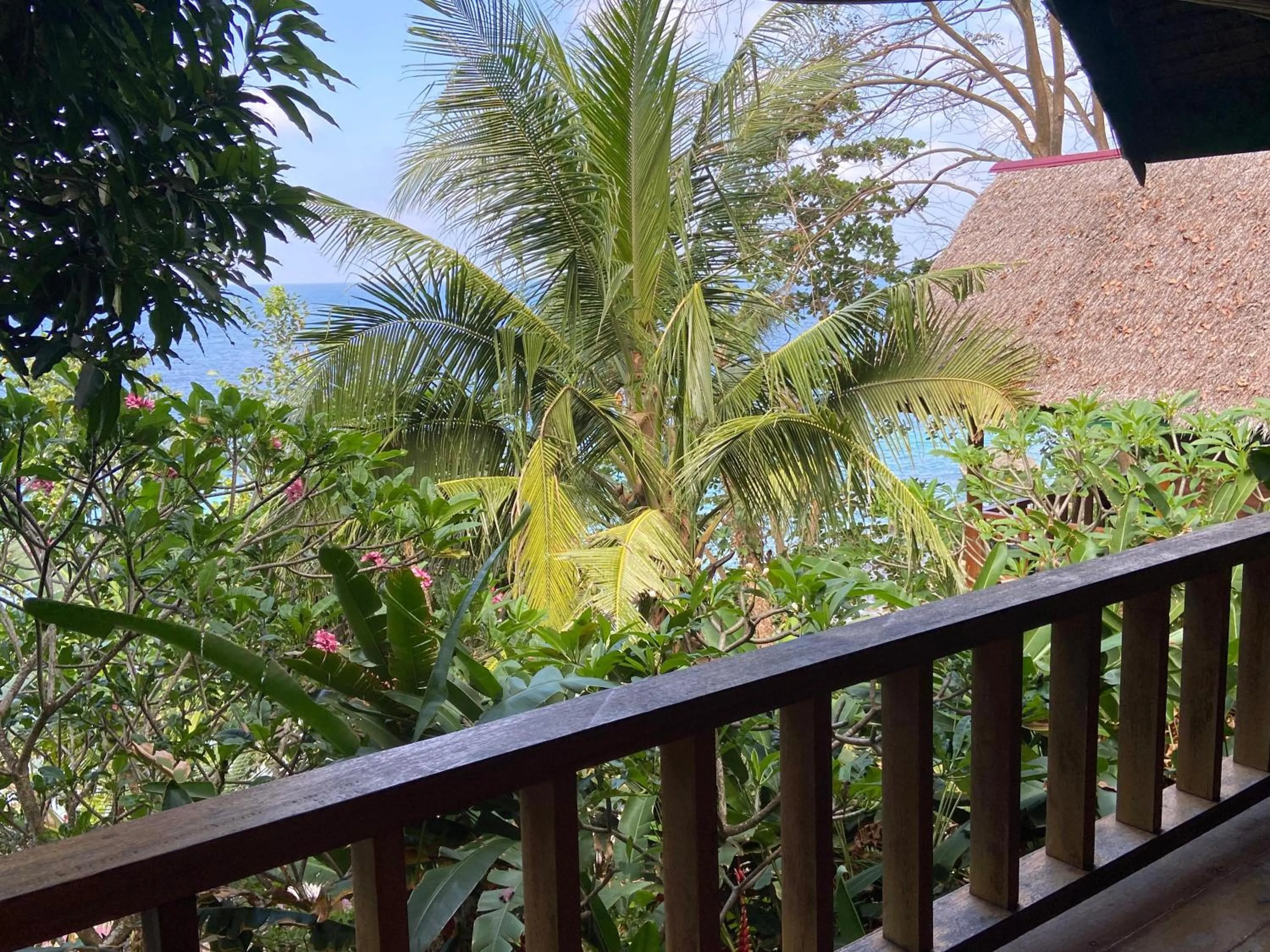 Balcony/Terrace in Casa Nemo Beach Resort & Spa