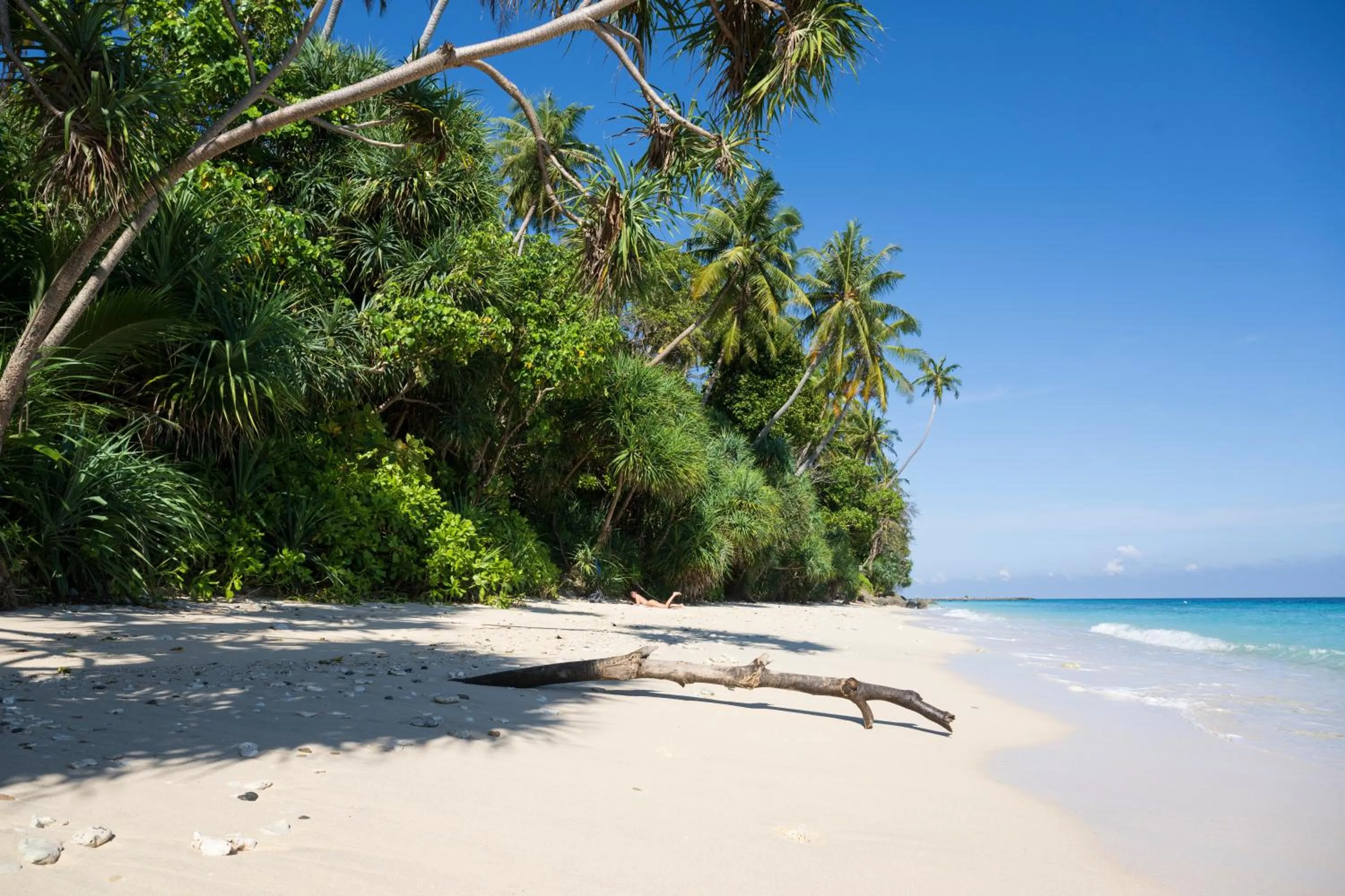 Natural landscape in Casa Nemo Beach Resort & Spa