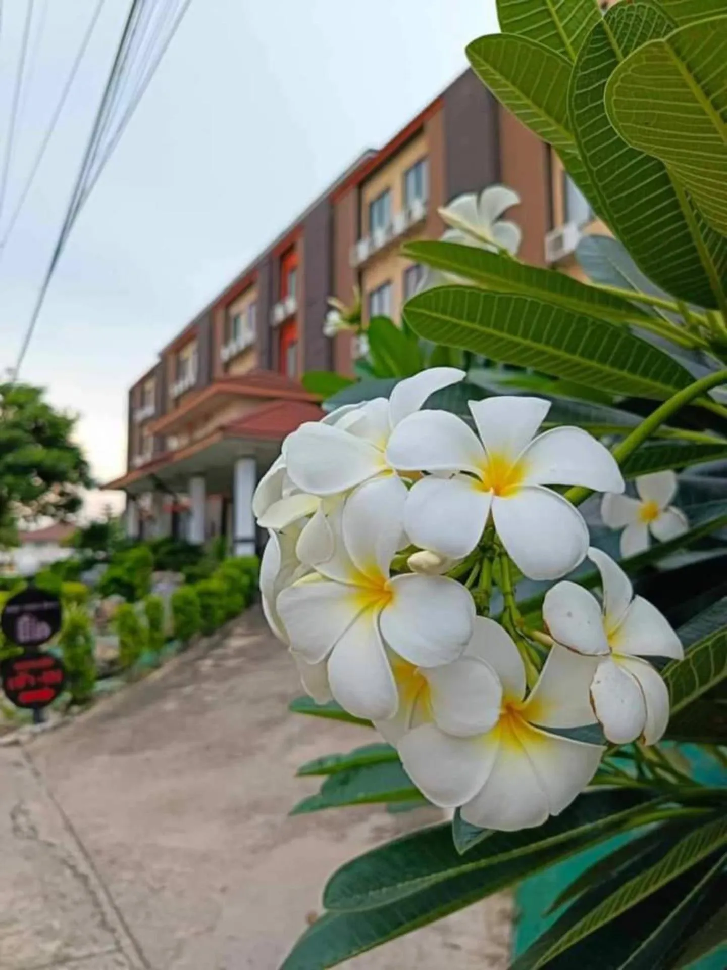 Garden in PS Hotel Saraburi